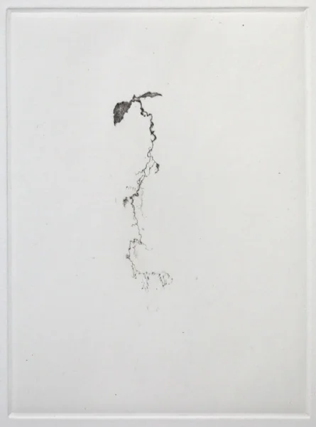 Shadow IV