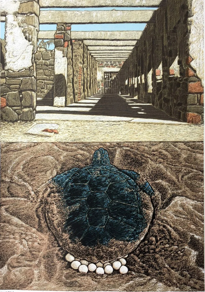 Turtle Cannery Ruins, Punta Lobos