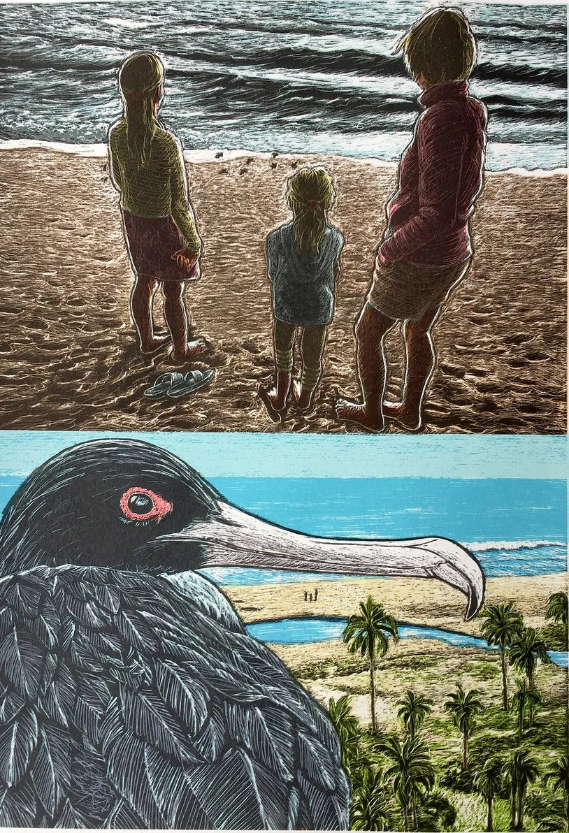 Turtle Release & Frigate Bird Above Playa las Palmas