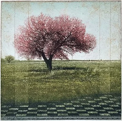 David Smith-Harrison