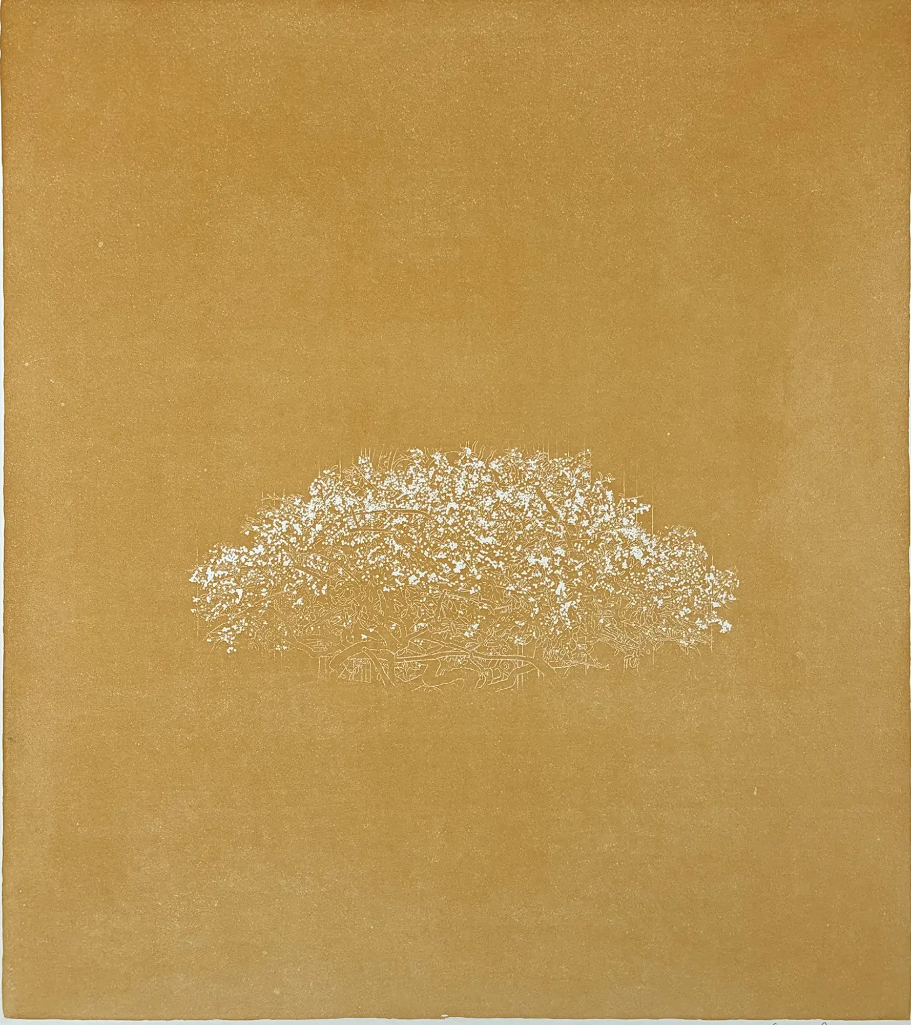 Plate 3 printed alone