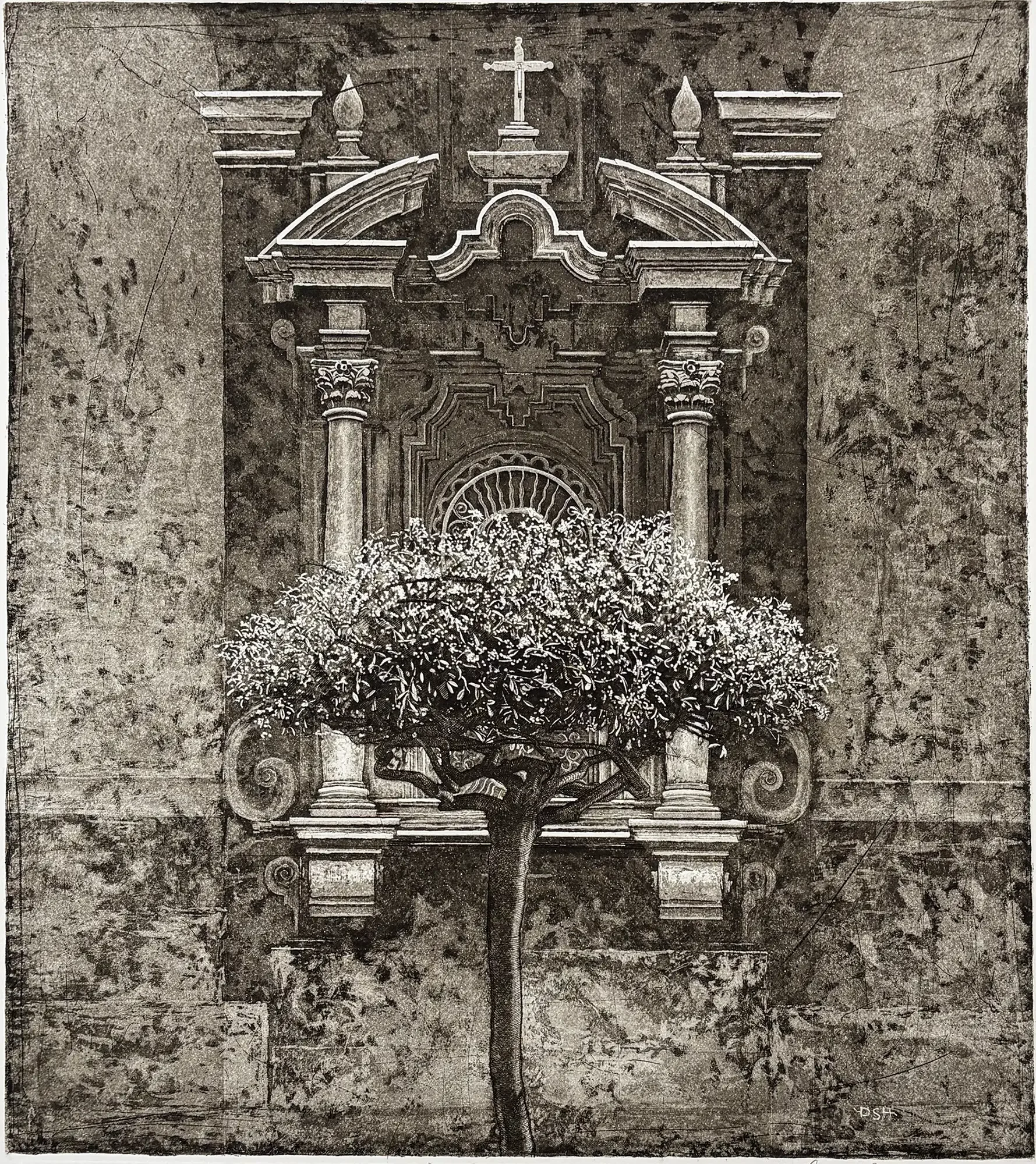 Plate 5 printed alone