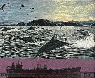 Baja Dolphins, Richmond Tanker, by Jos Sances
