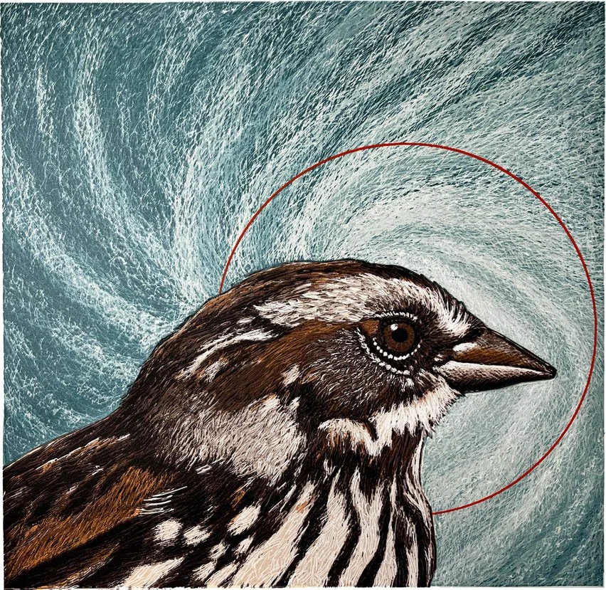 Eye of the Sparrow, by Jos Sances