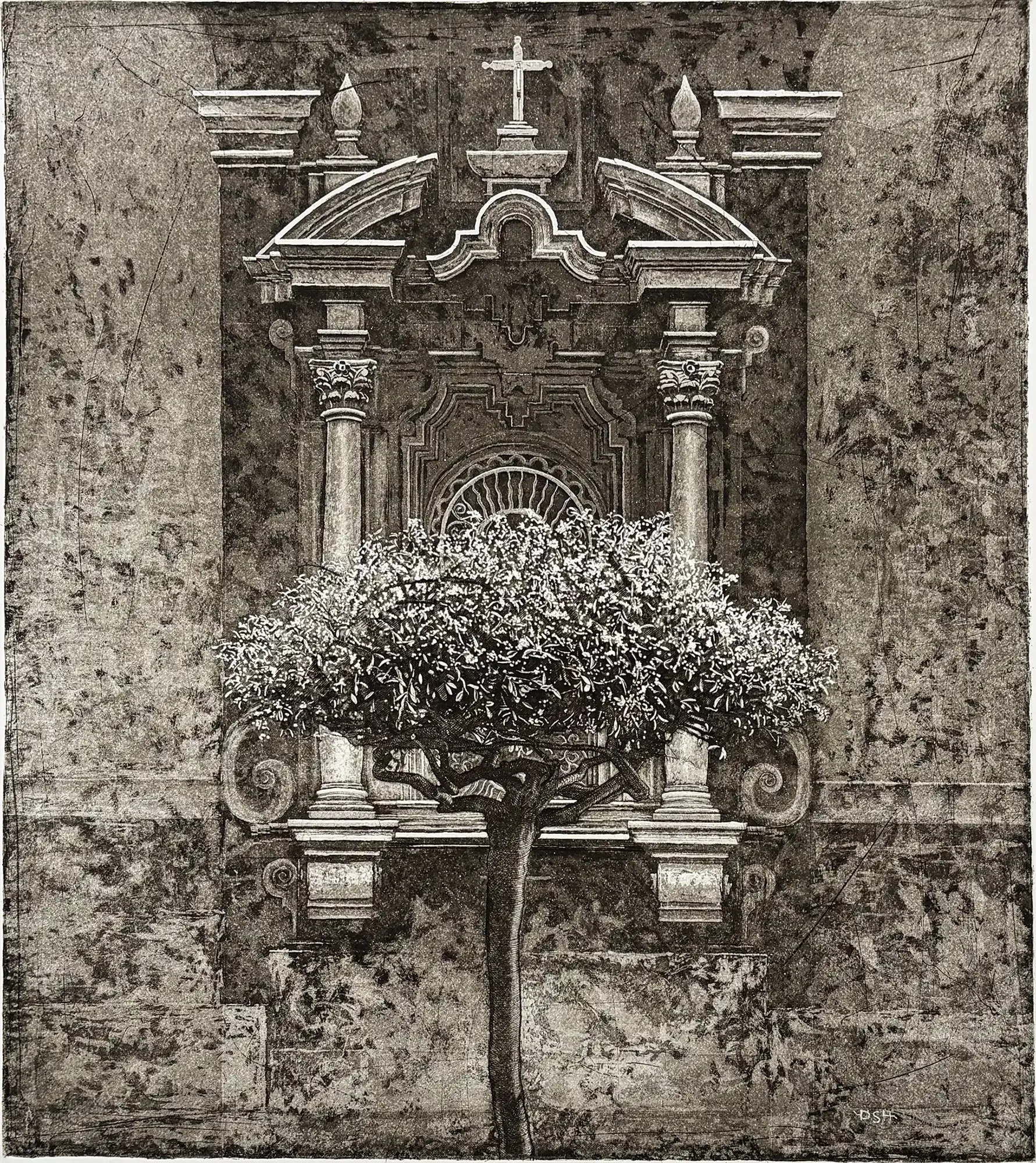 Plate 5 printed alone