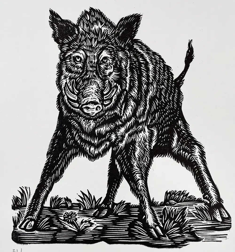 Linocut of a menacing Boar by Daniel Gonzalez