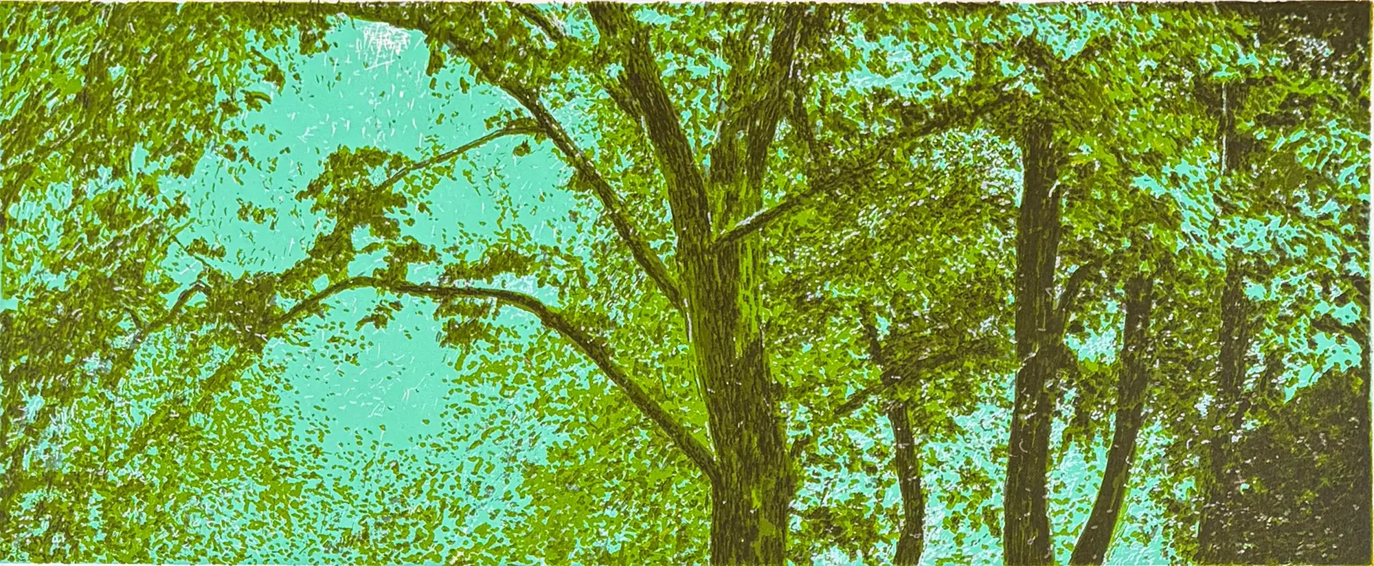 Silkscreen by Stephen Lawlor depicting woodland landscape with filtered light through trees and a quiet reflective atmosphere.