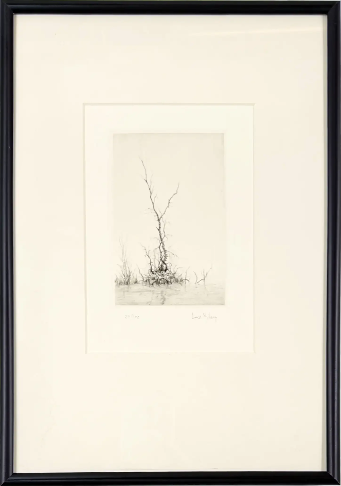 Framed drypoint etching by Lars Nyberg titled “Birch,” showing a solitary birch tree rising from a marshy islet with fine, delicate branches.