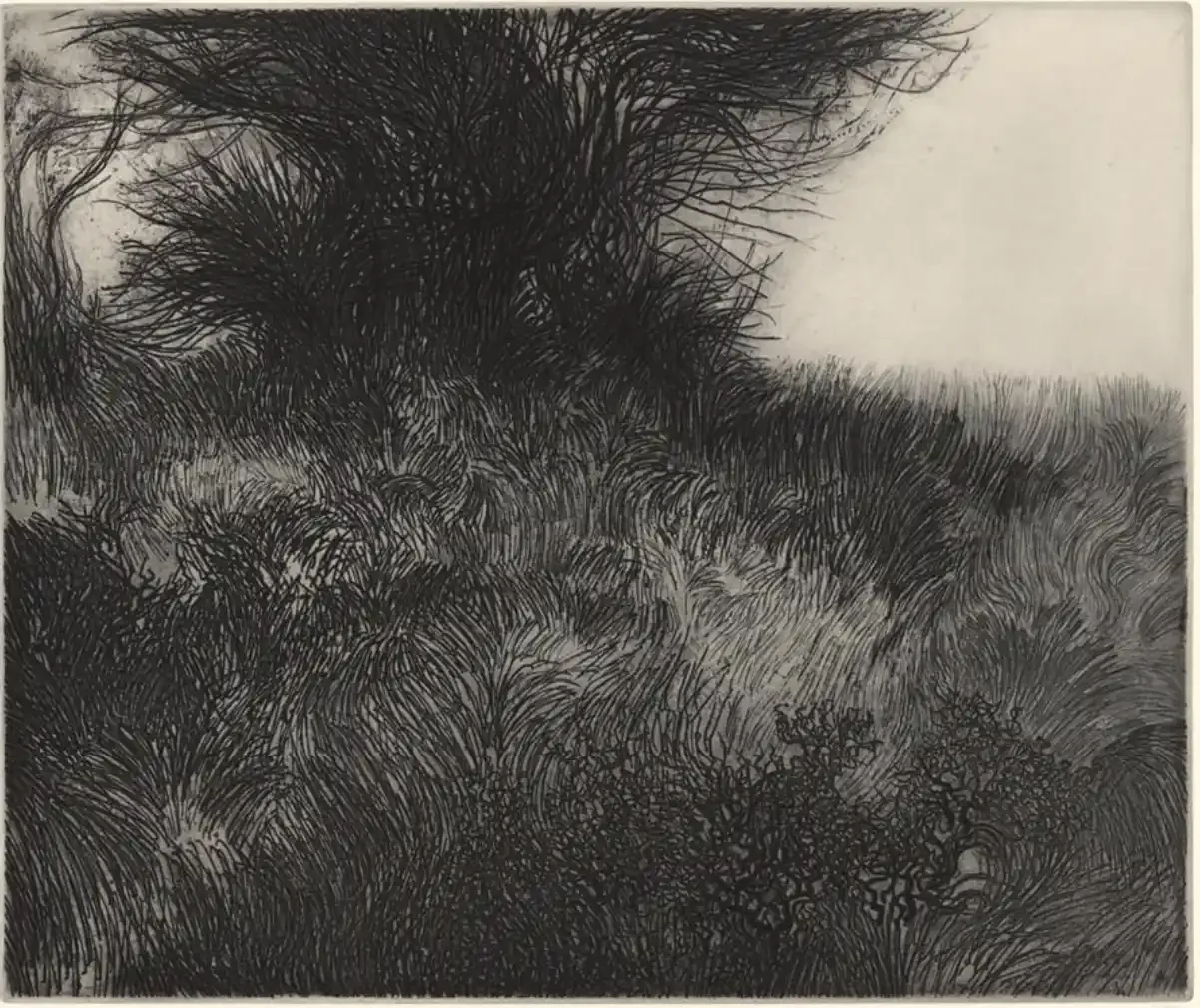 Summer Landscape III