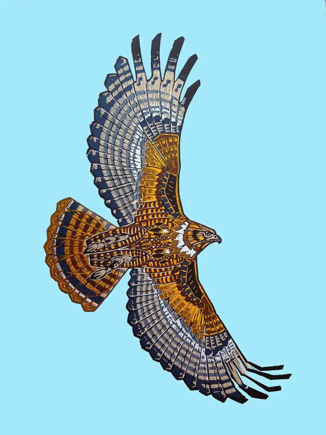 Beautifully colored Hawk against a brilliant blue sky