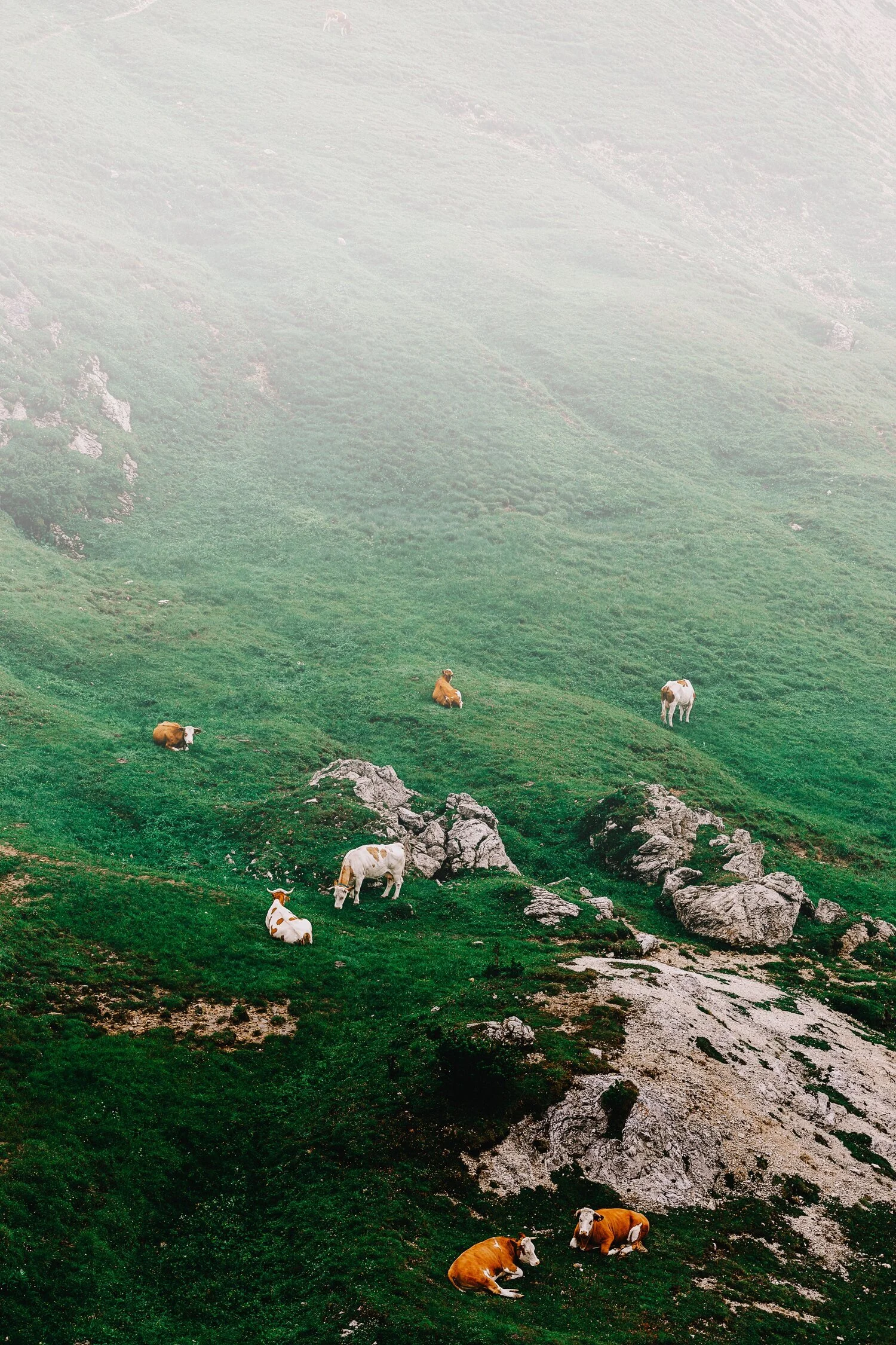 March Wallpaper of the Month