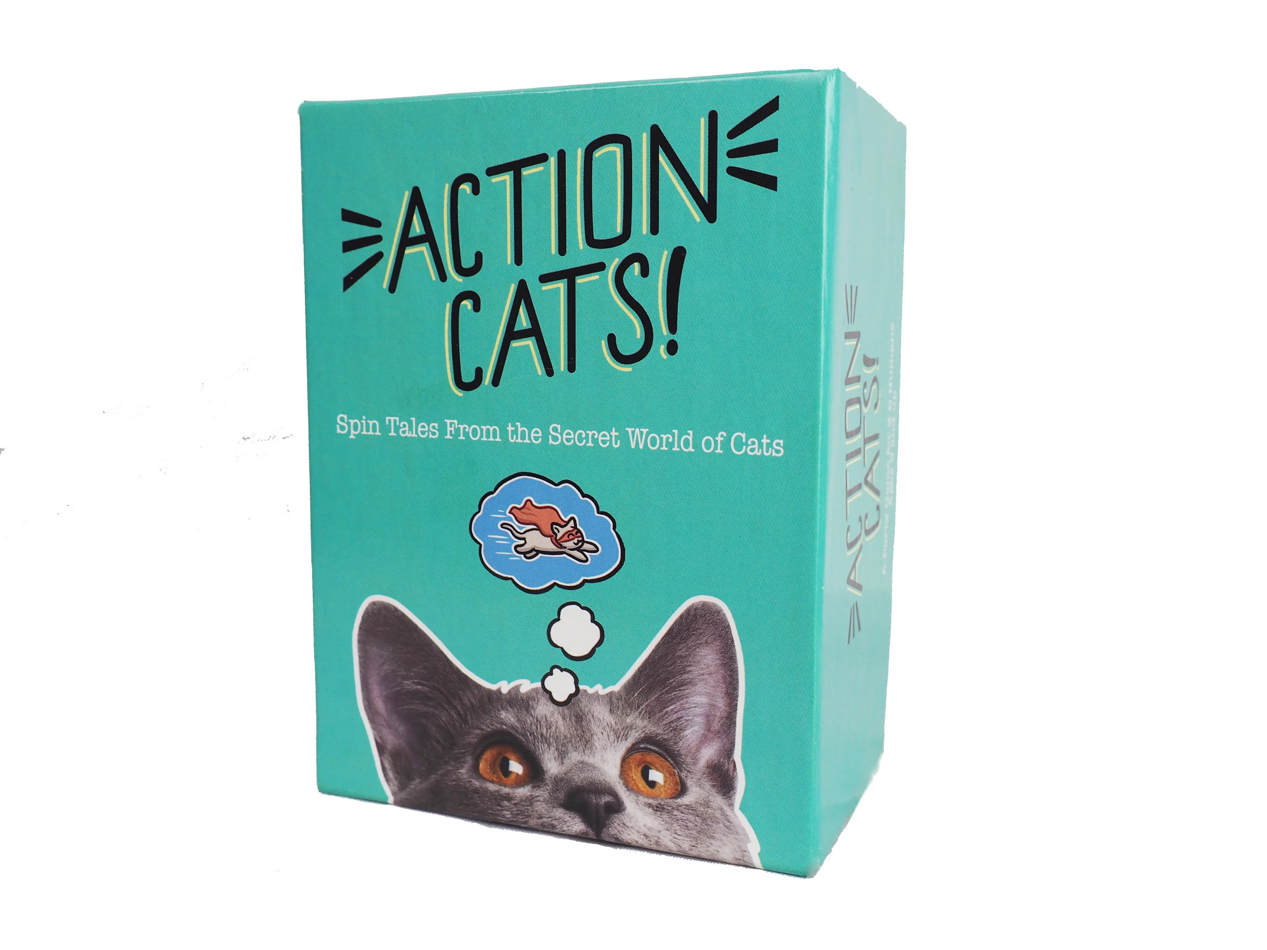 ActionCatsBoxStanding.jpg