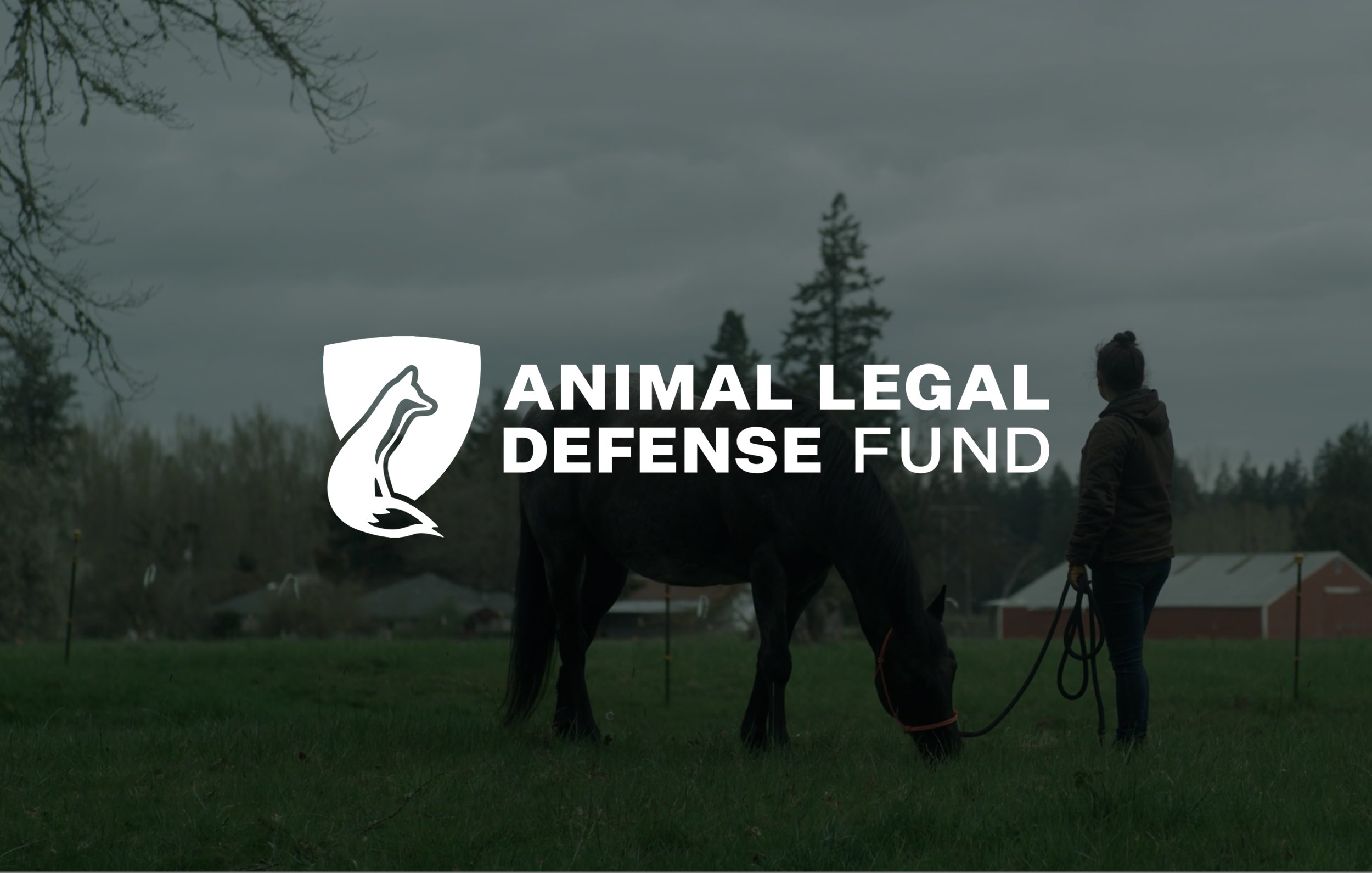 Animal Legal Defense Fund Case Study