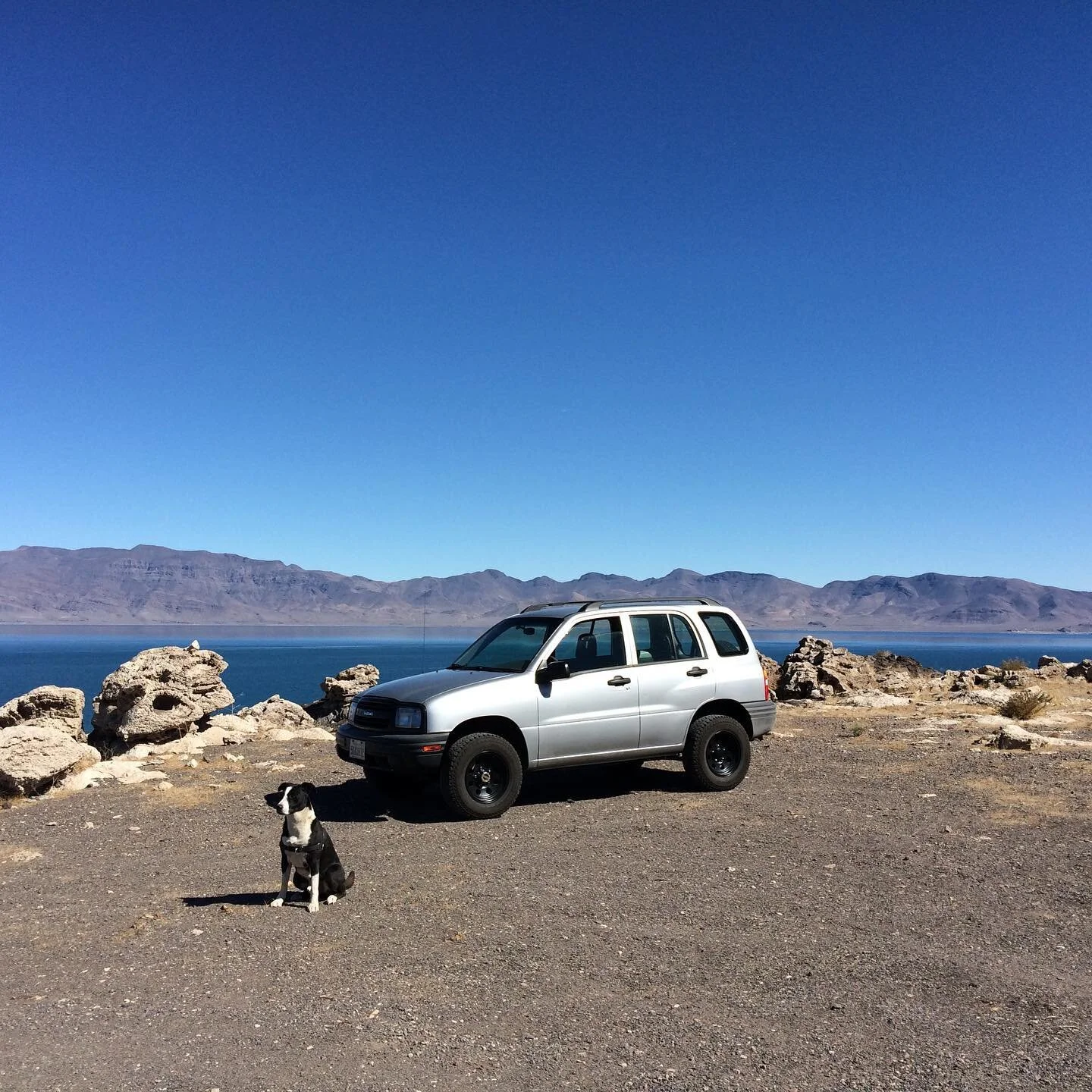 I parked in front of some pretty views in some kinda desolate places near Reno that I drove to in the Brave Little Toaster.  #chevytracker #suzukivitara #j20a