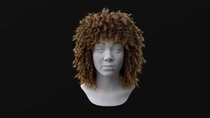Female Medium Curly Hair | Houdini