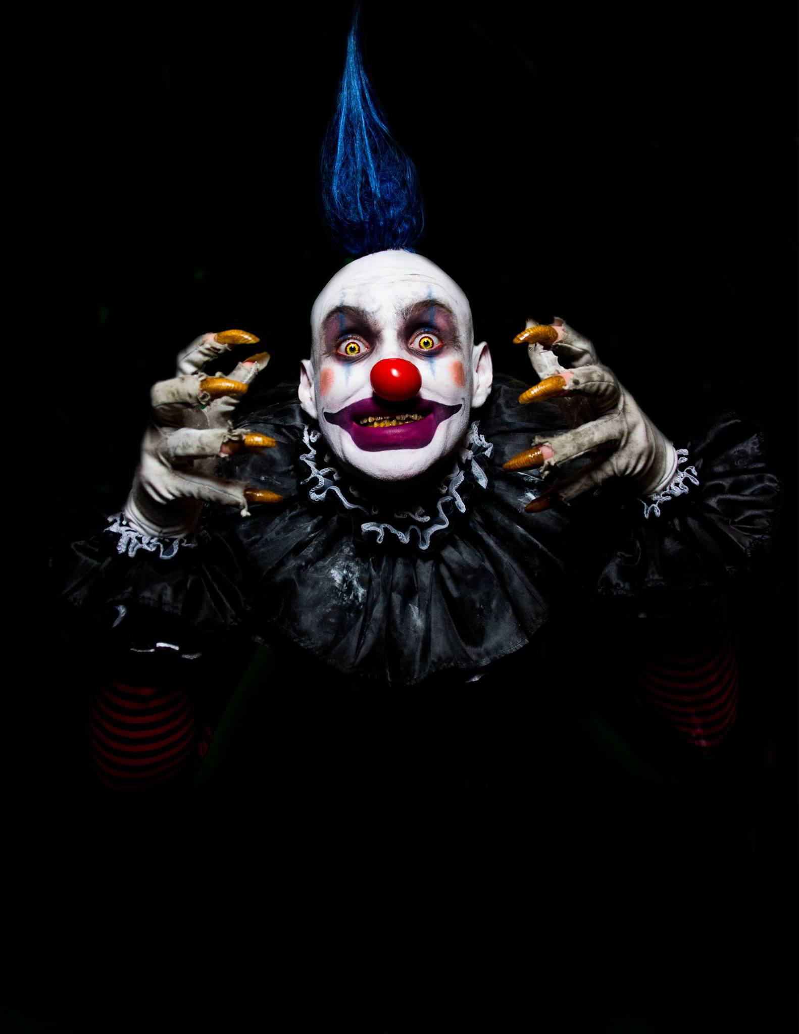 "Kookie" Photo by Omar Salama