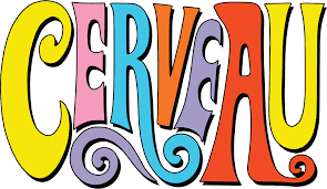 cerveau.png
