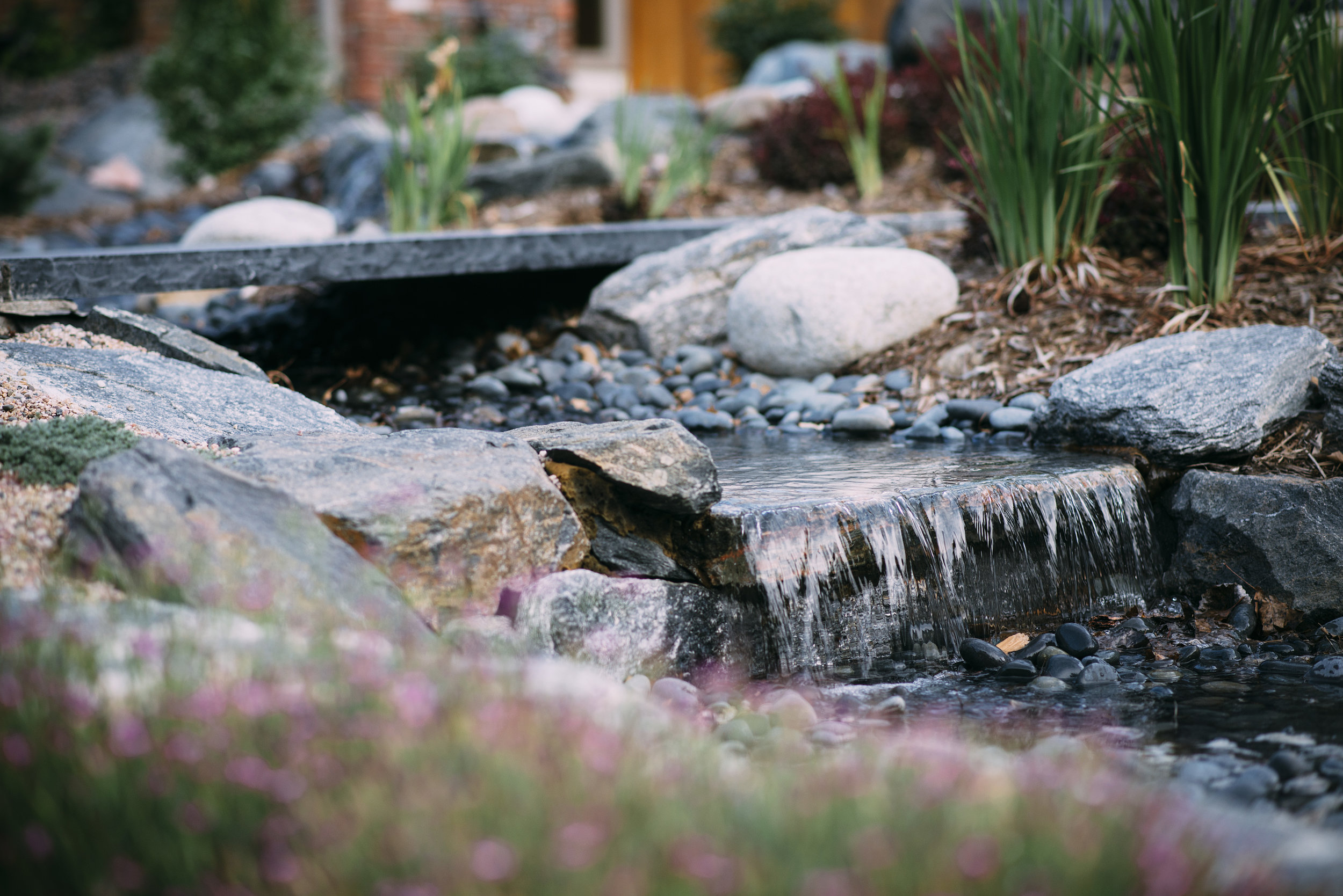DSC_2561.jpg