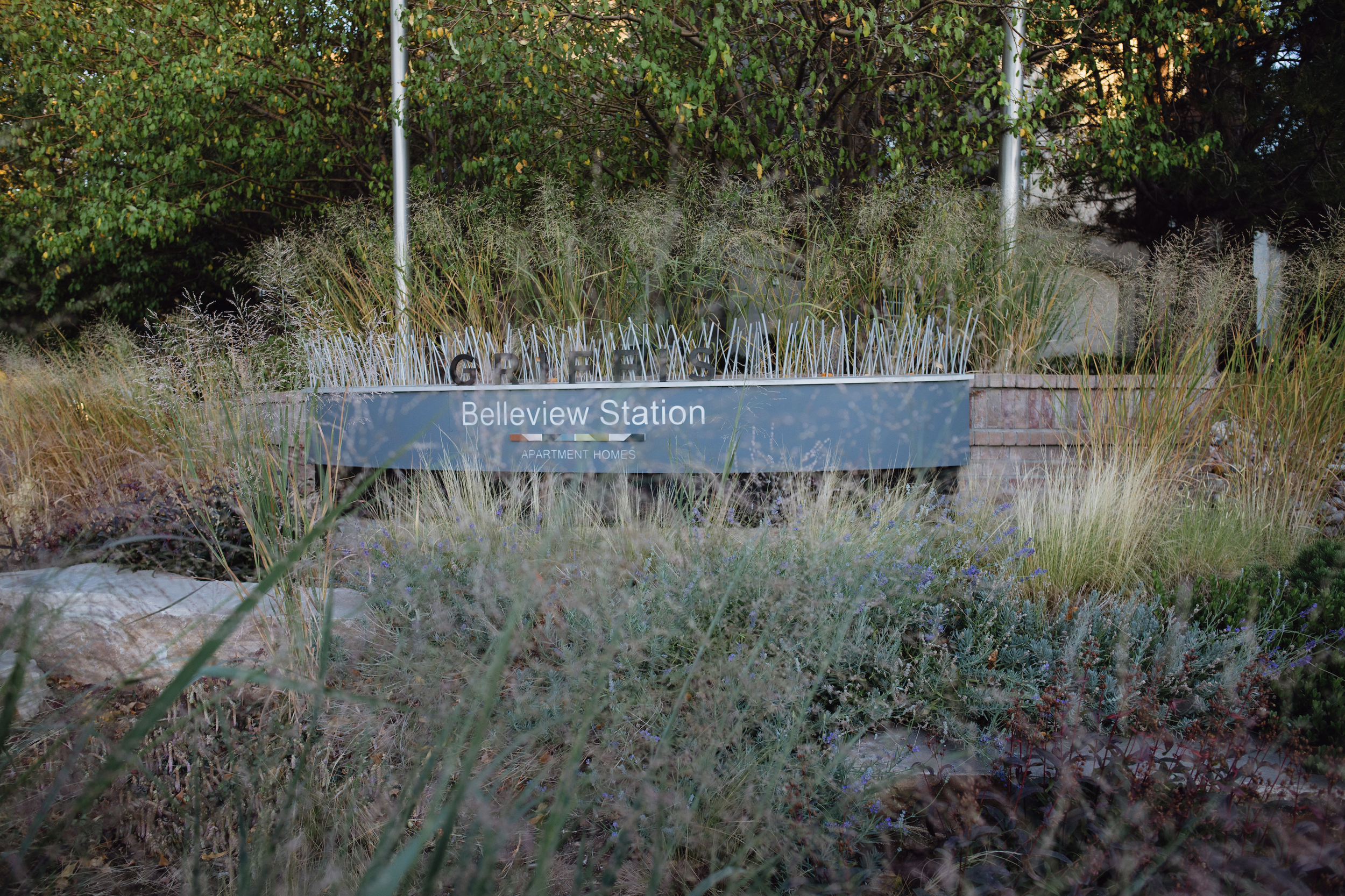 Screen Shot 2020-11-18 at 5.22.08 PM.png