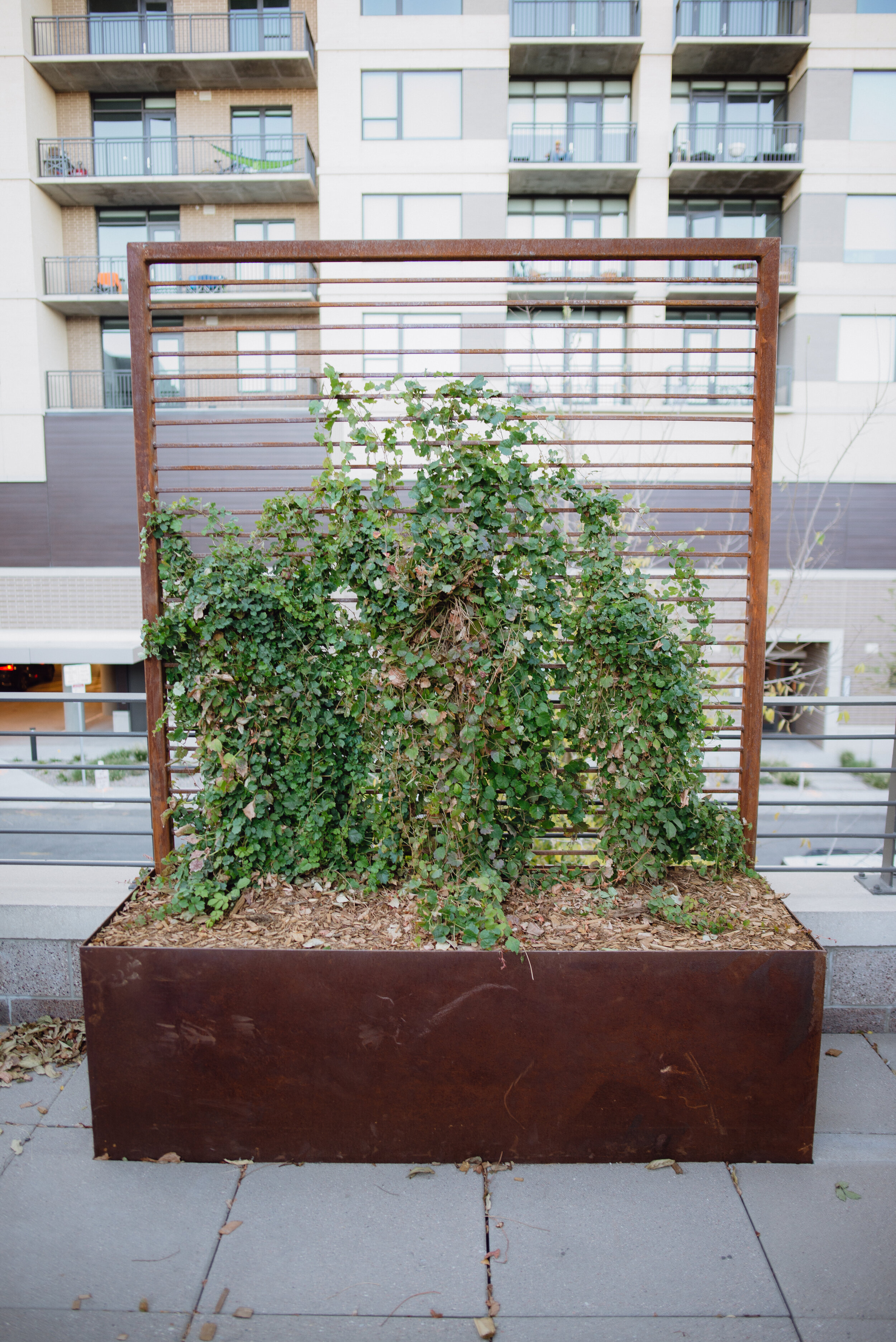 DSC_4905.jpg