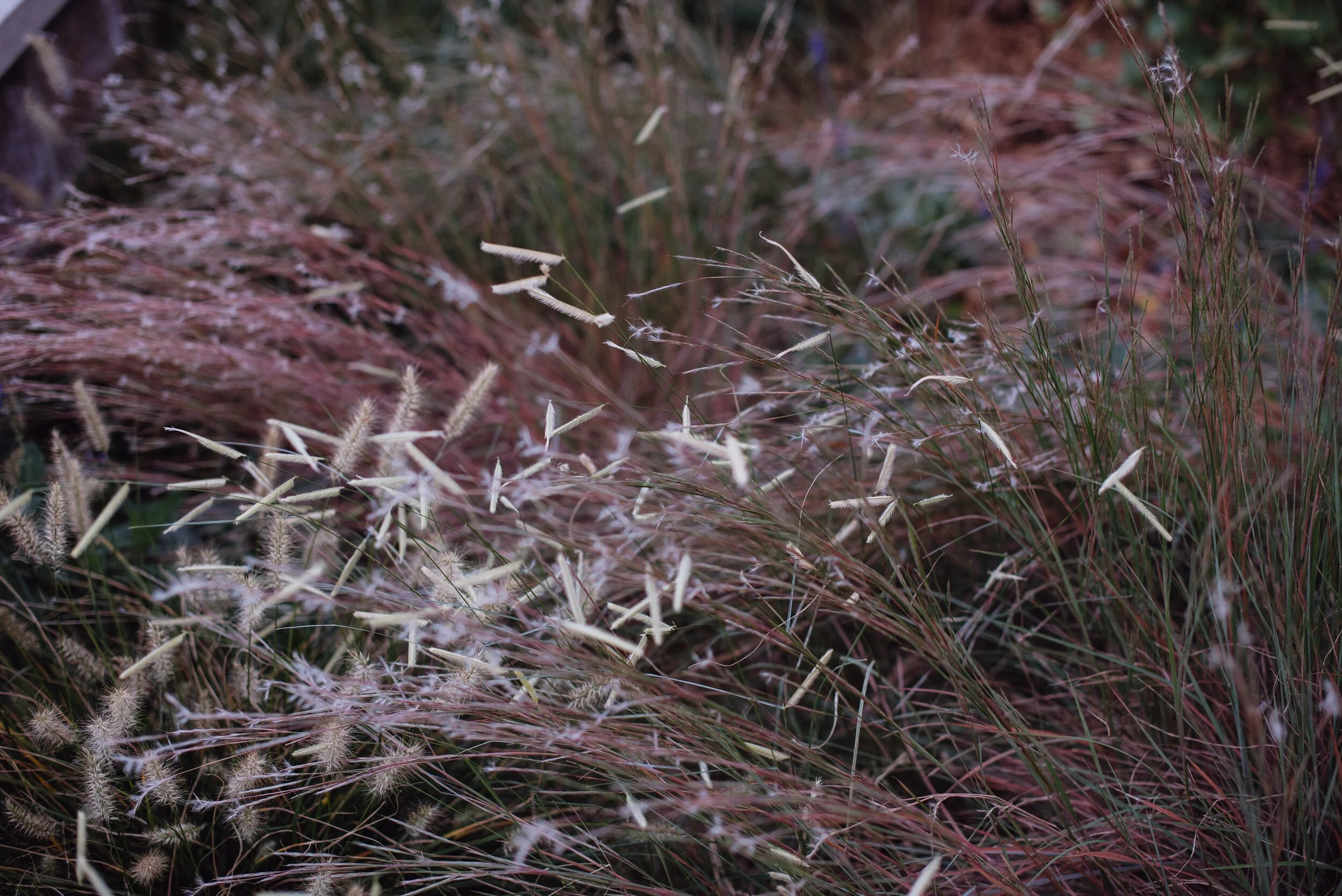 DSC_6152.jpg