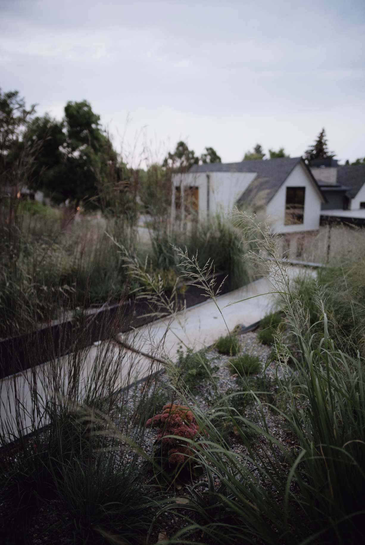 Screen Shot 2021-11-03 at 10.49.52 AM.png