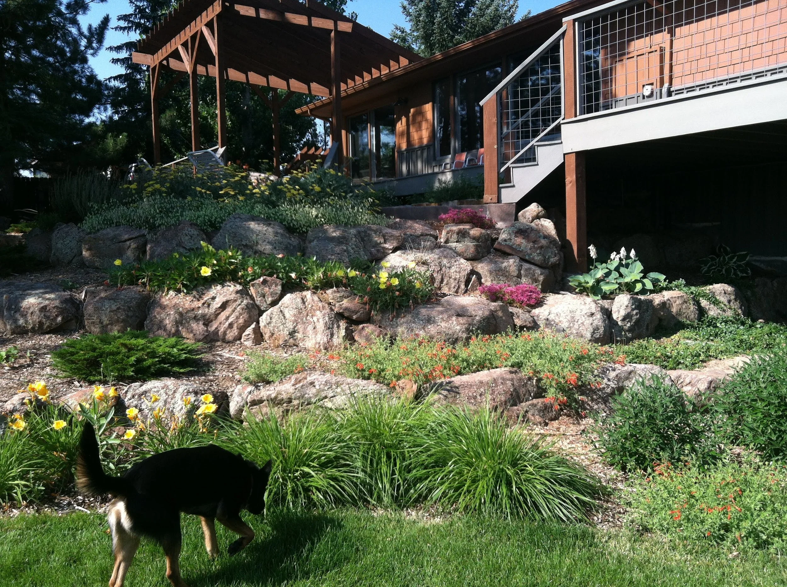 Dad's Iphone 02.12-04.14 426 (2).JPG