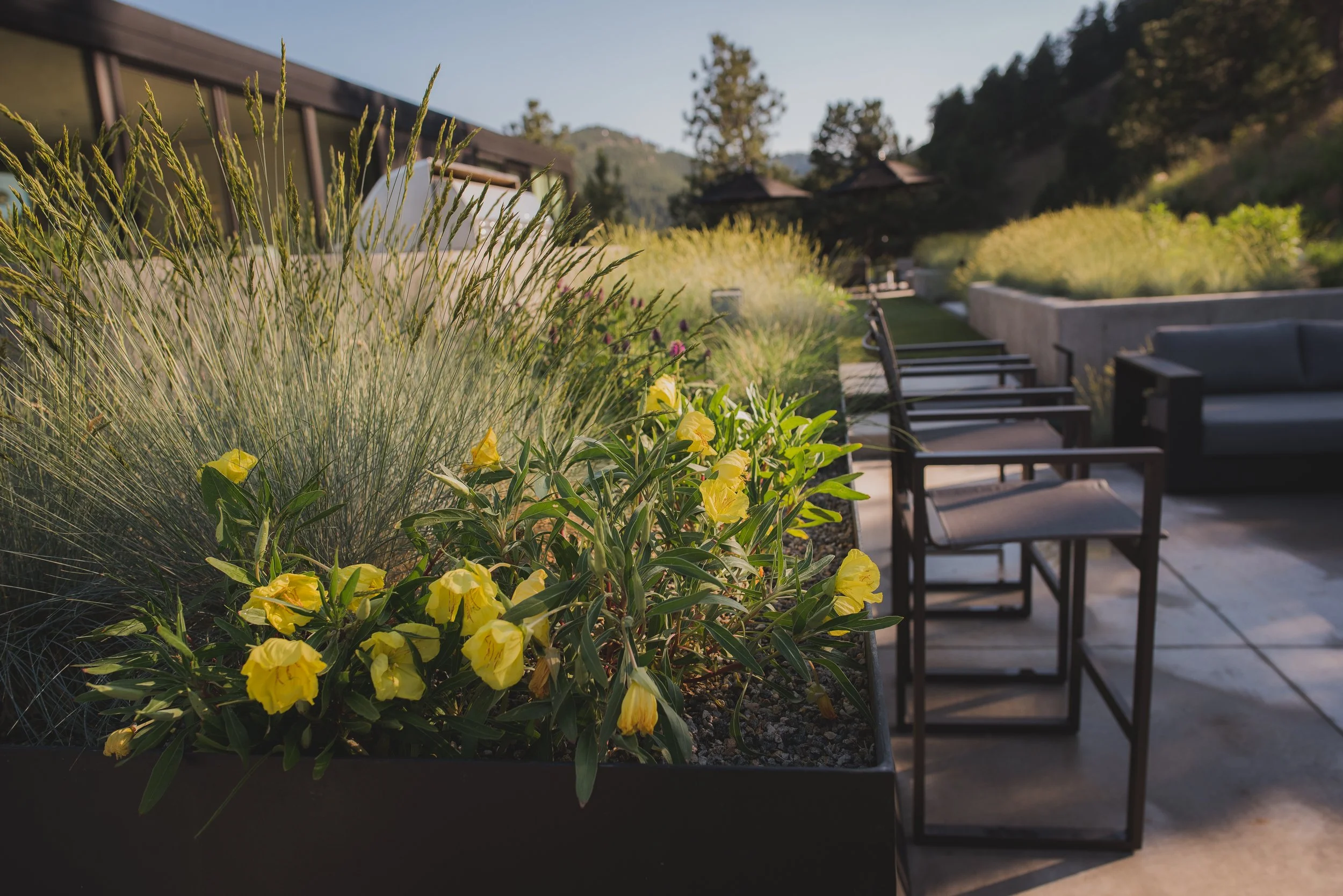 DSC_5859.jpg