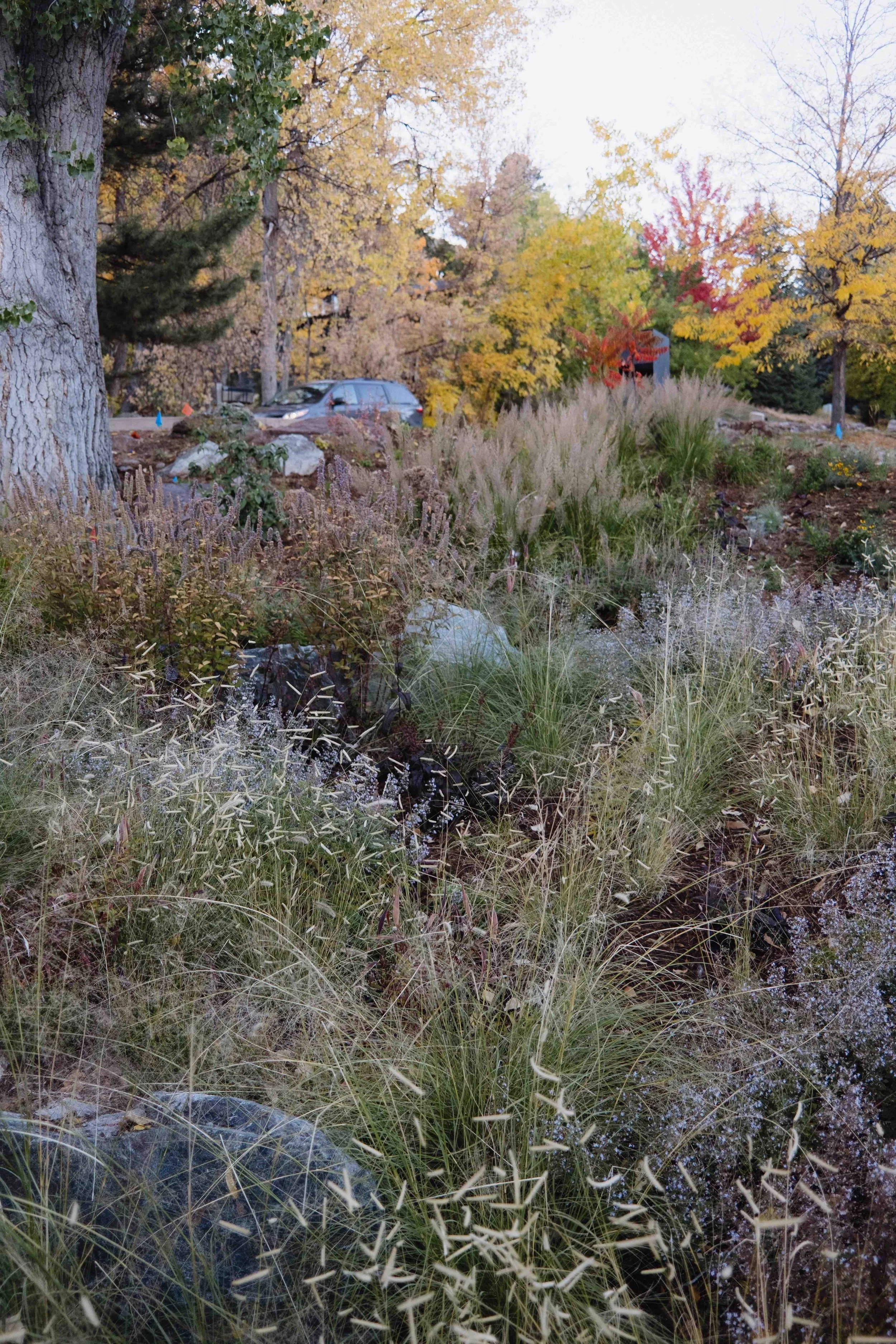 DSCF2654.jpg