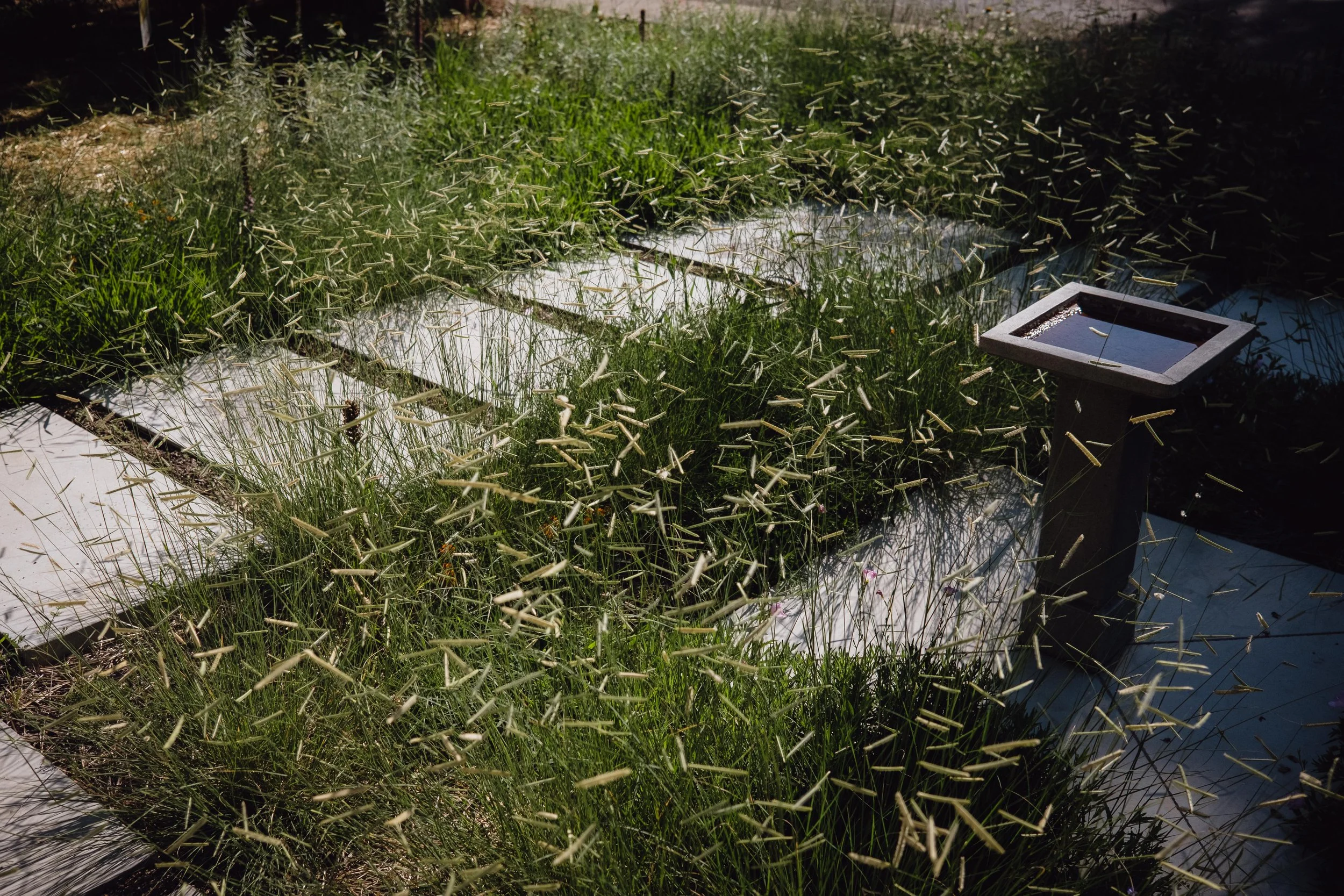 DSCF1560.jpg