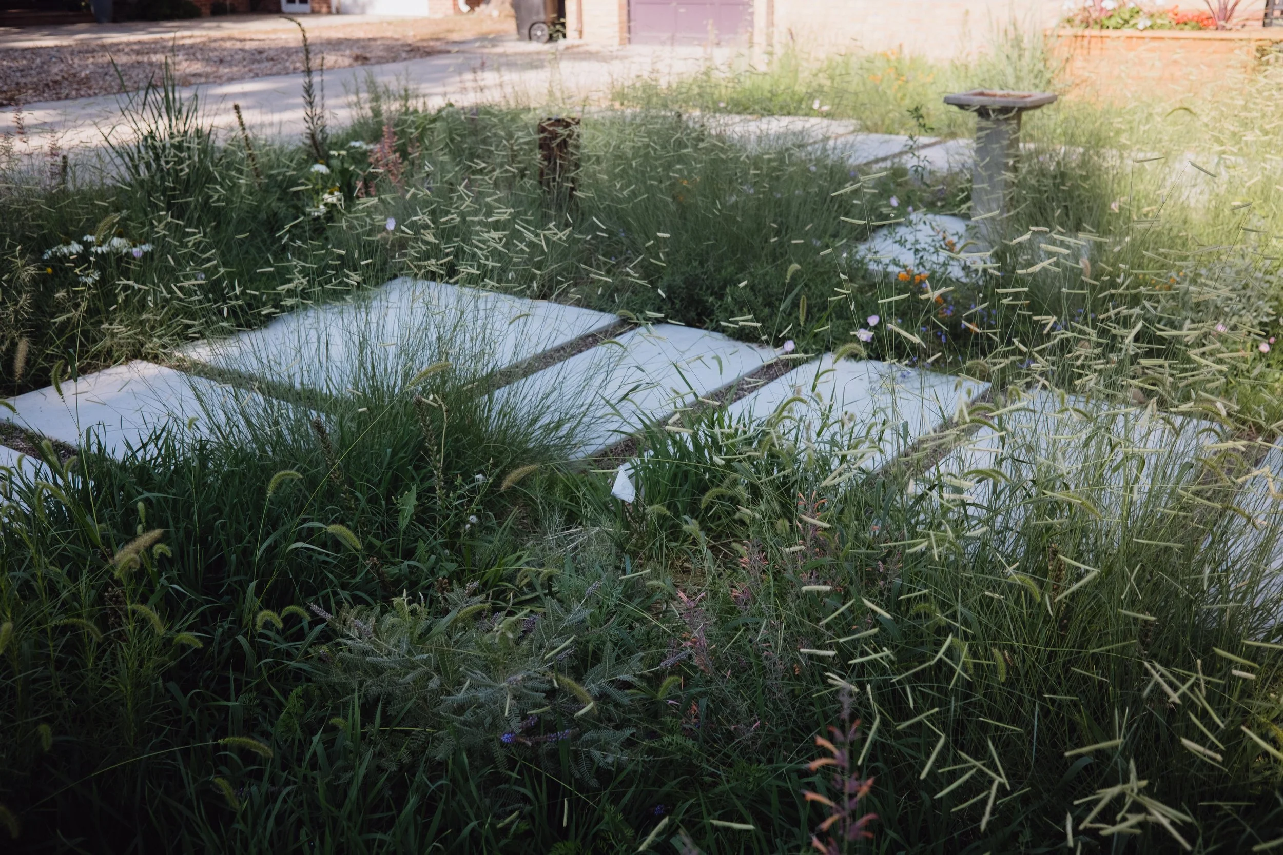 DSCF1600.jpg