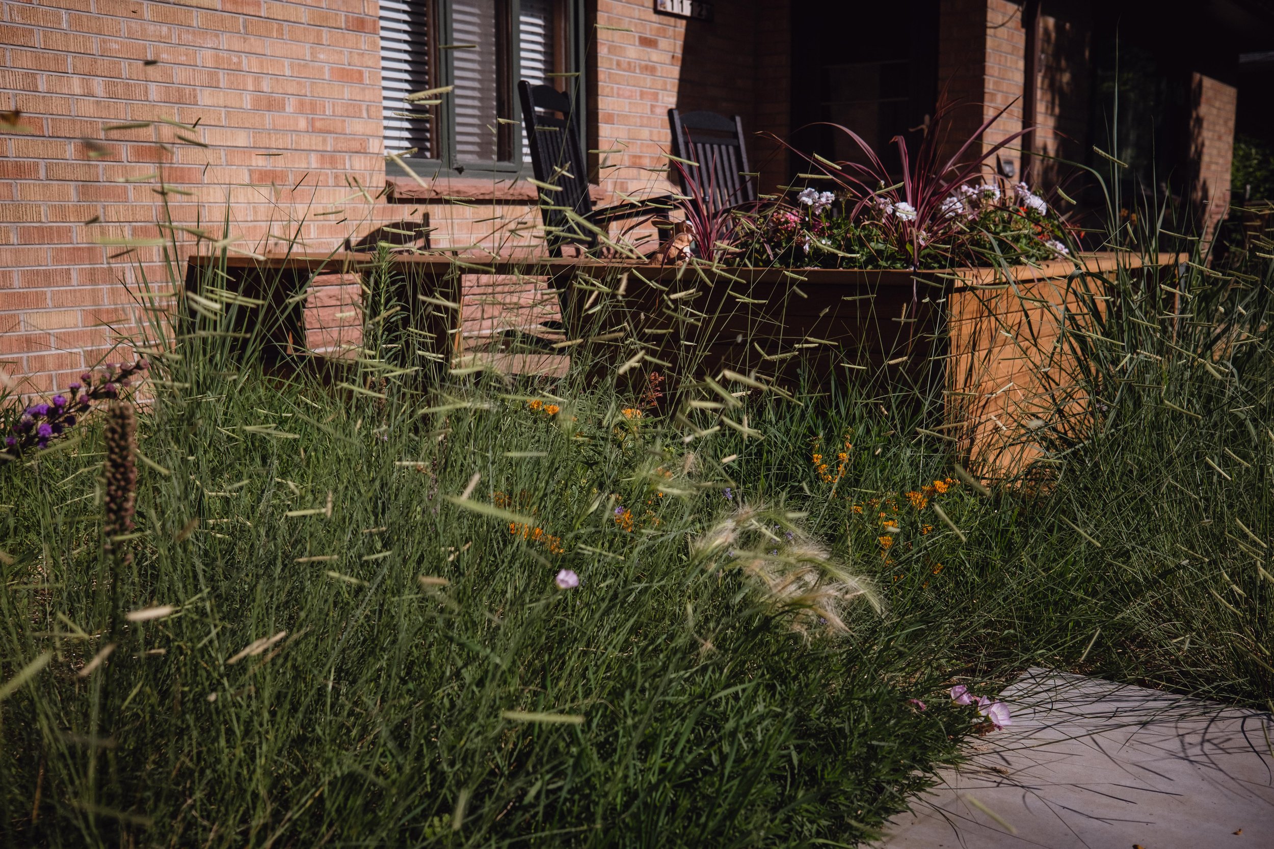 DSCF1549.jpg