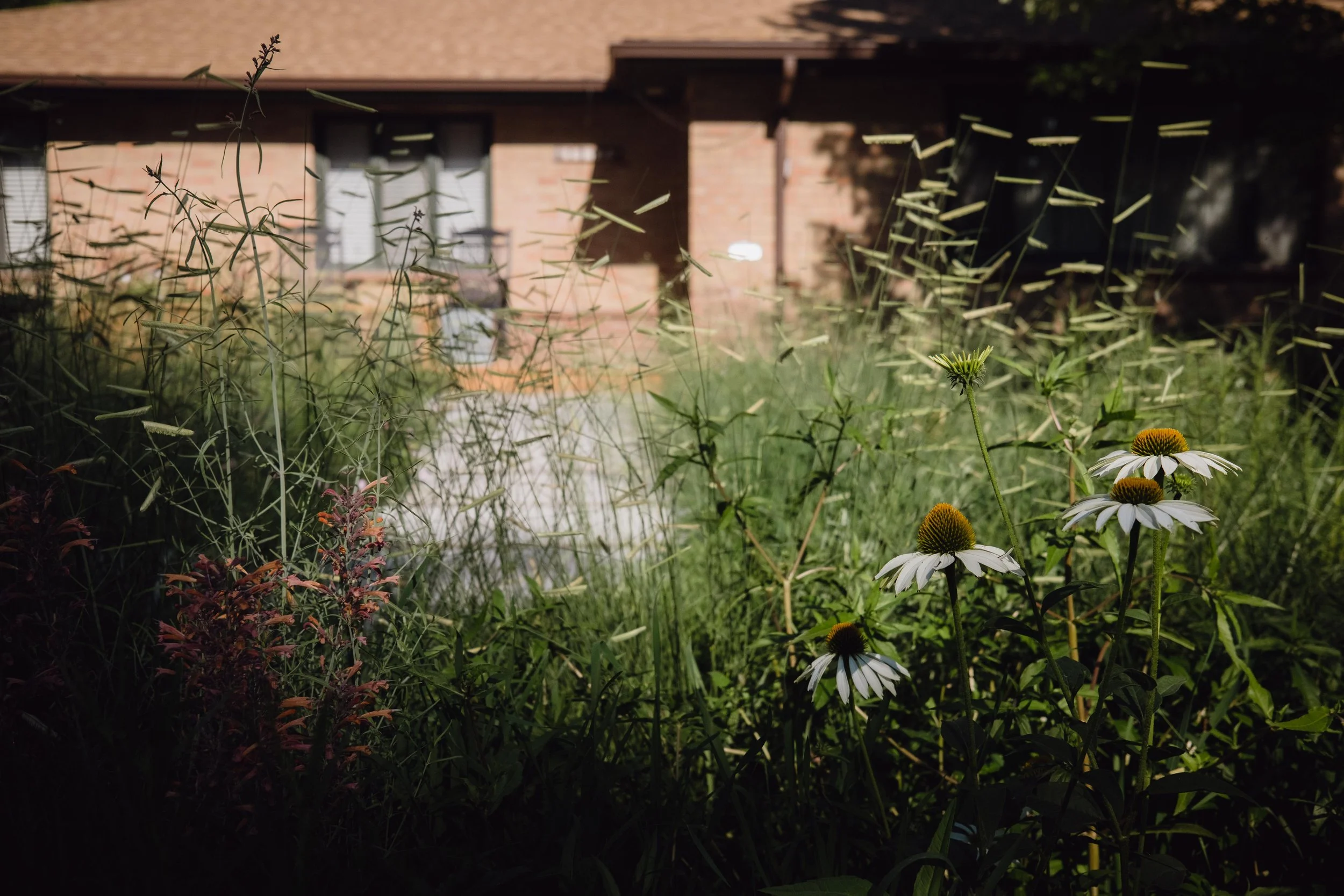 DSCF1595.jpg