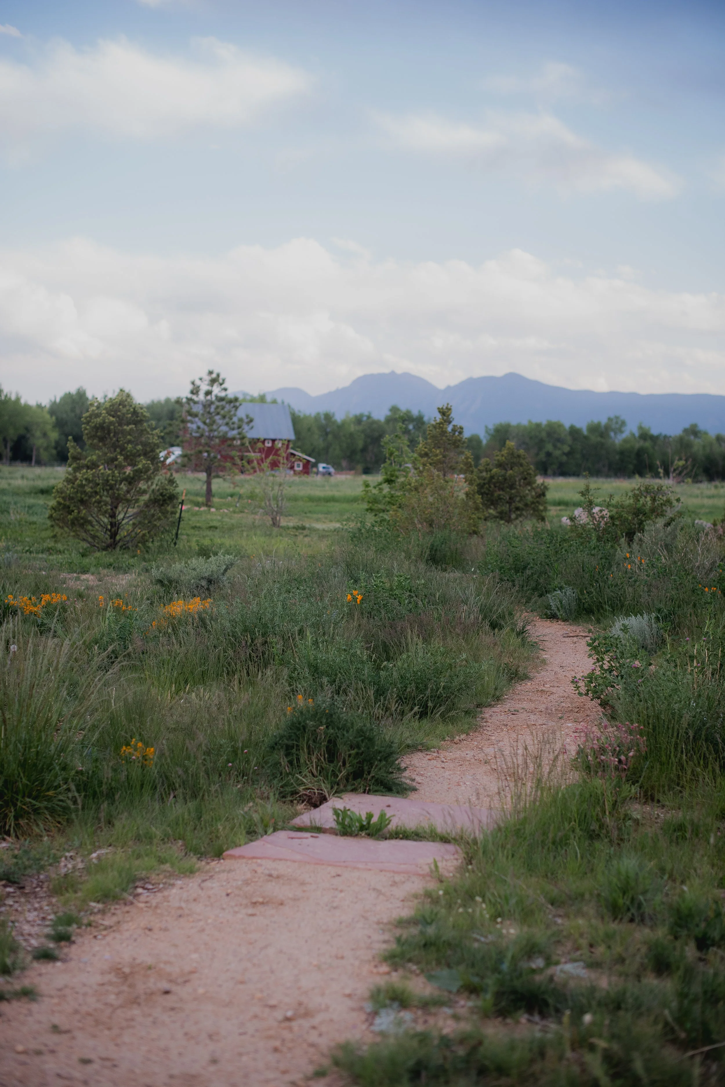 DSC_1876.jpg