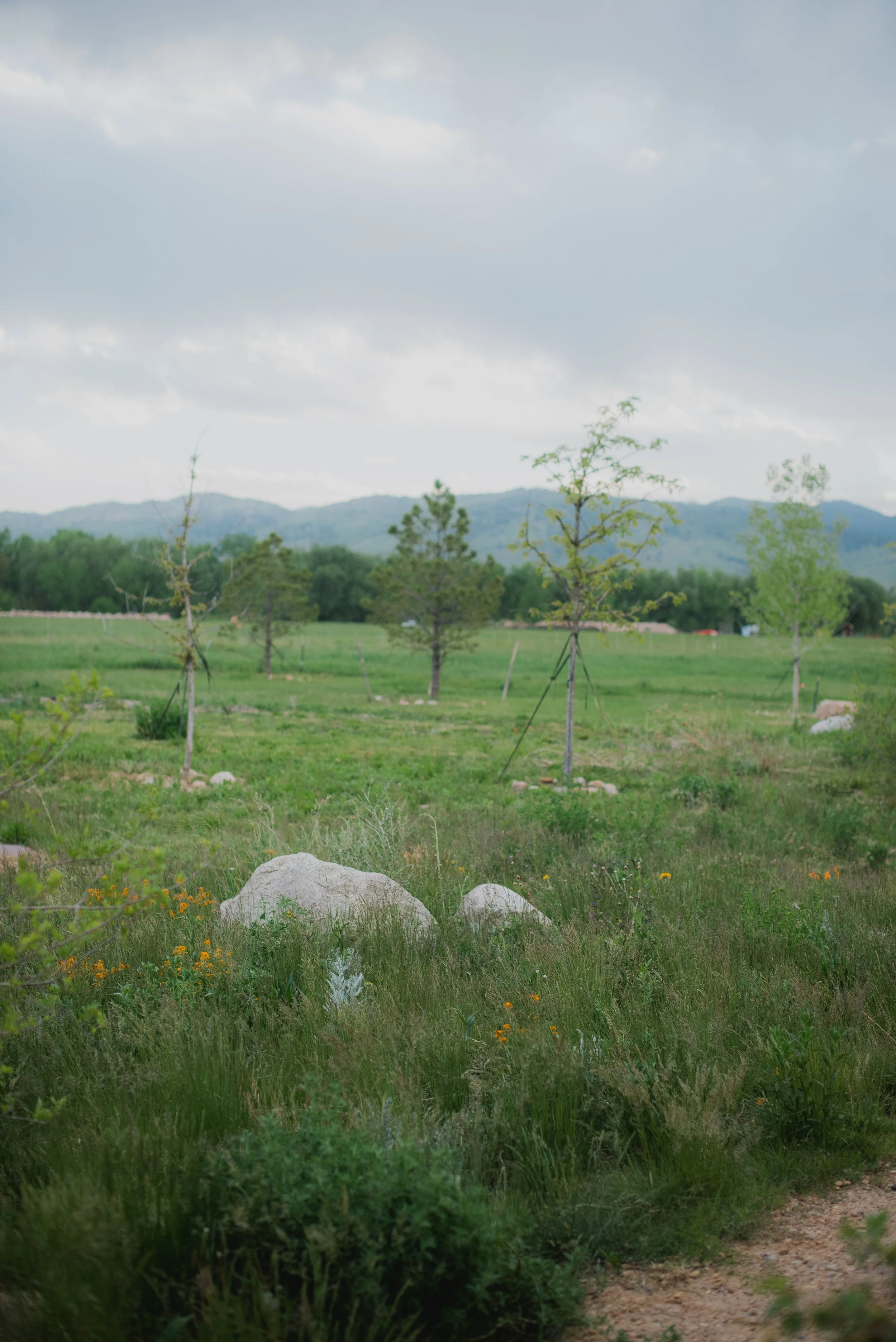 DSC_2019.jpg