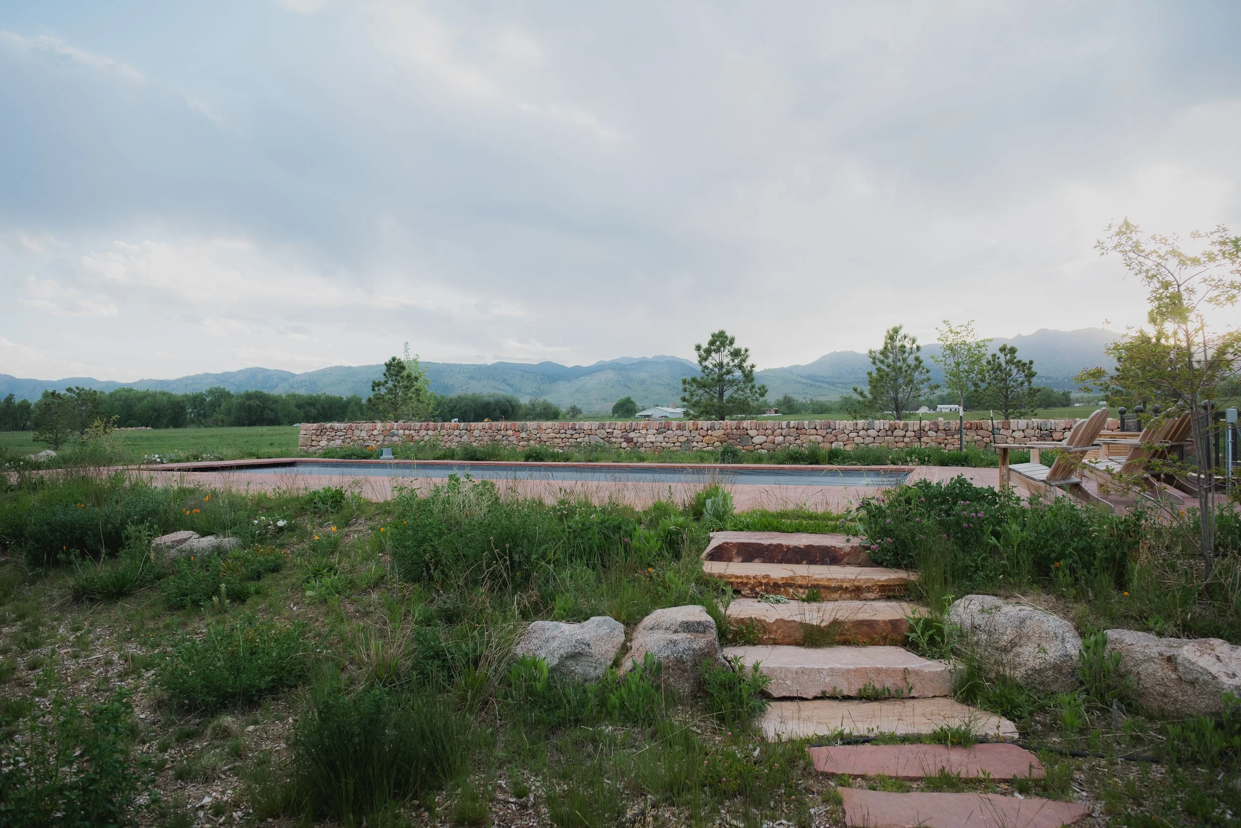 DSC_2202.jpg