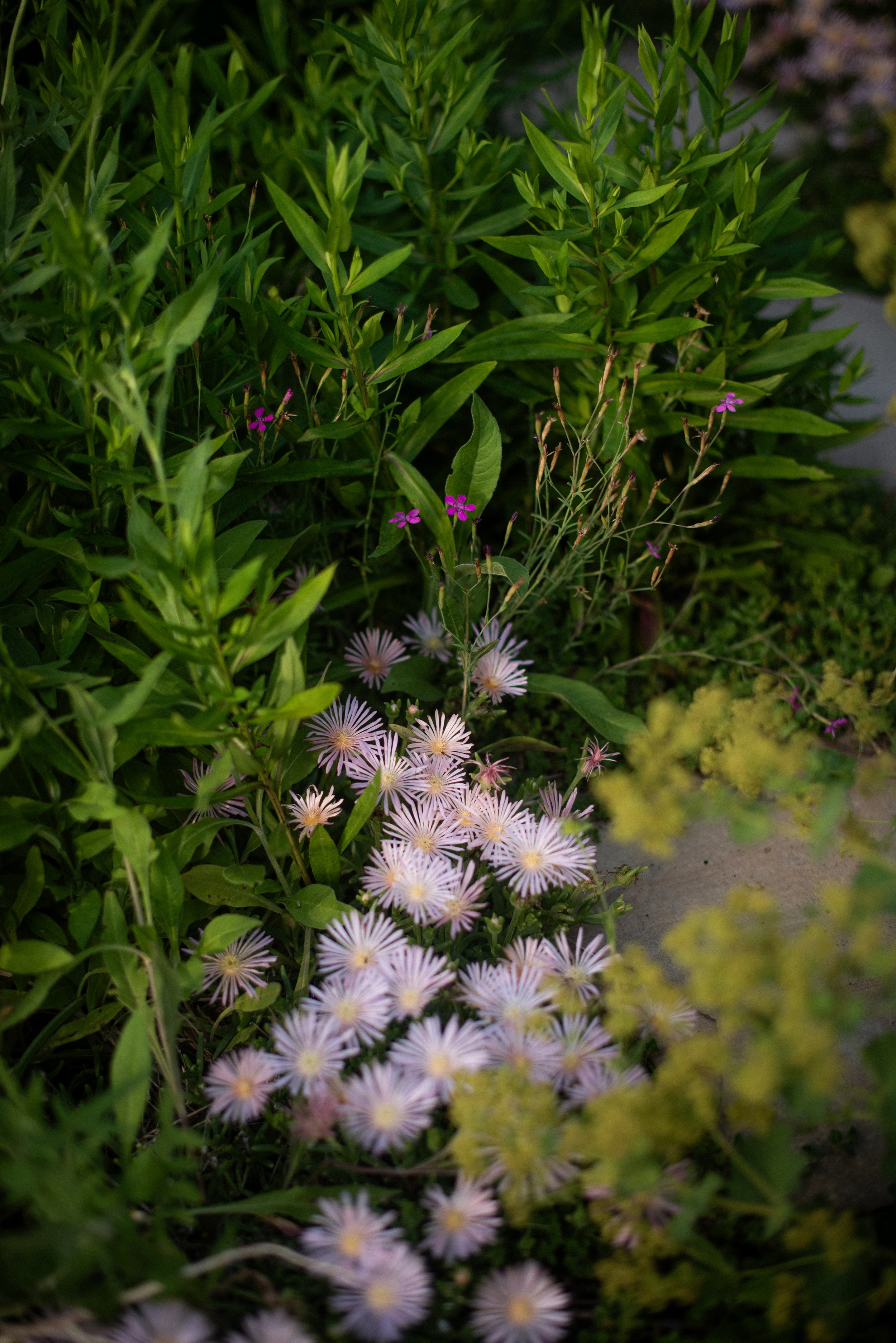 DSC_3612.jpg
