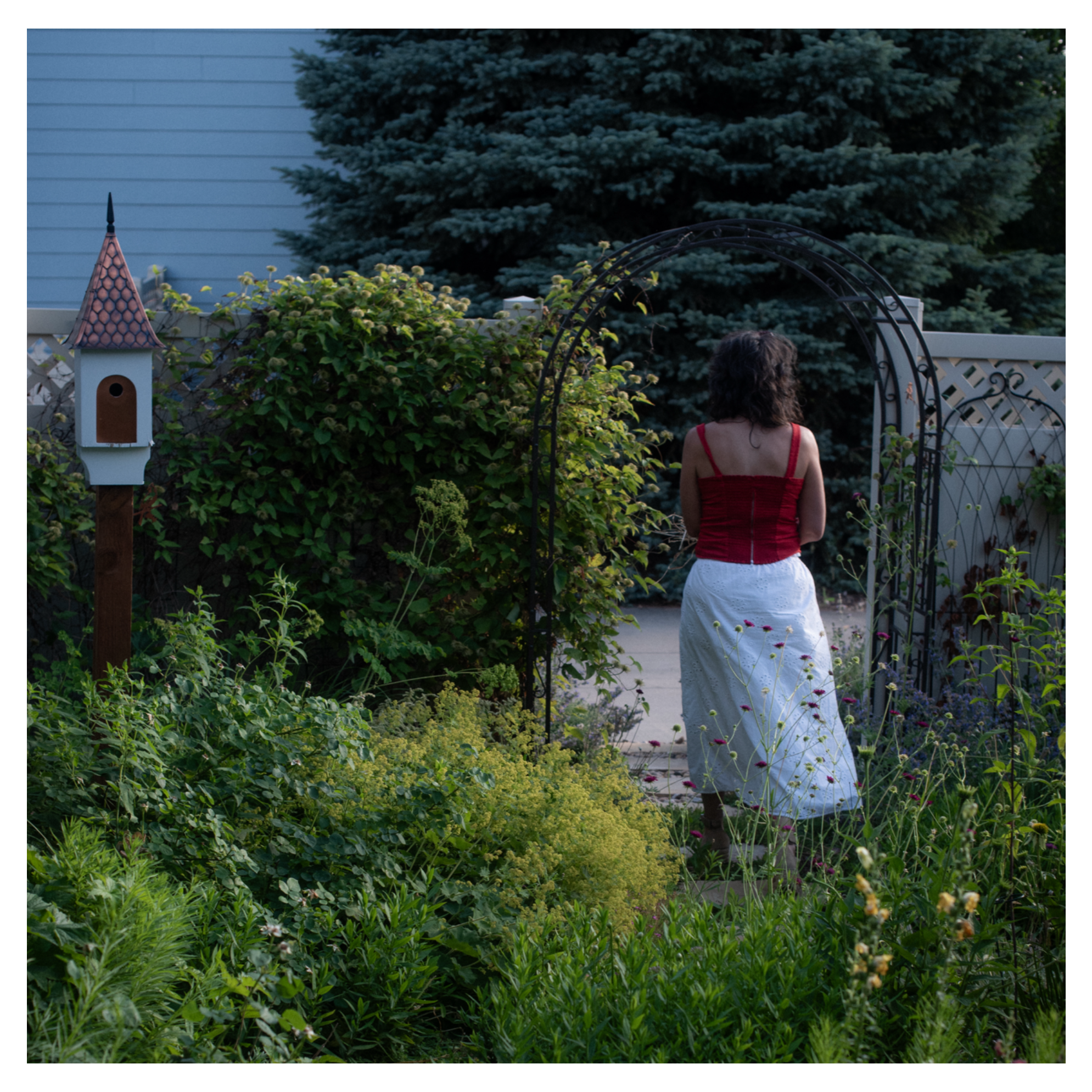 Fugue Thumbnail.png