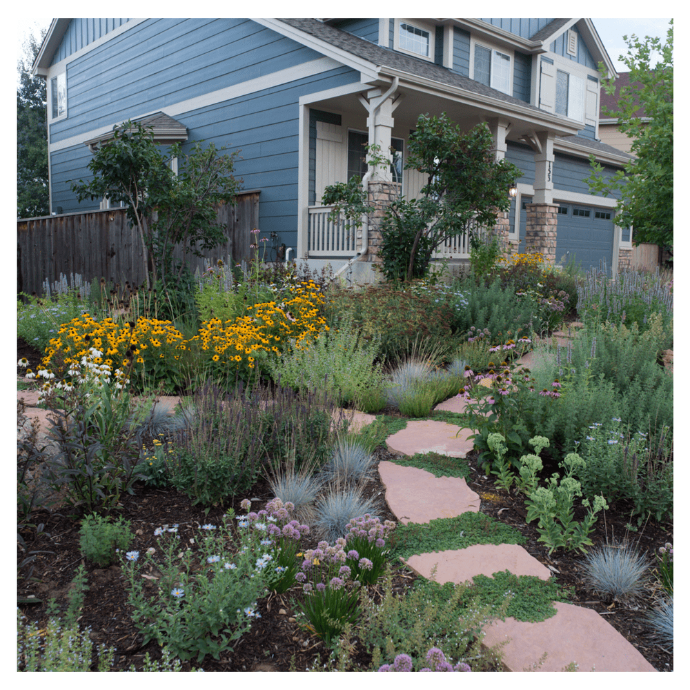 Landscaping Ideas for Spring of 2026 | Landscaping Services | North Denver
