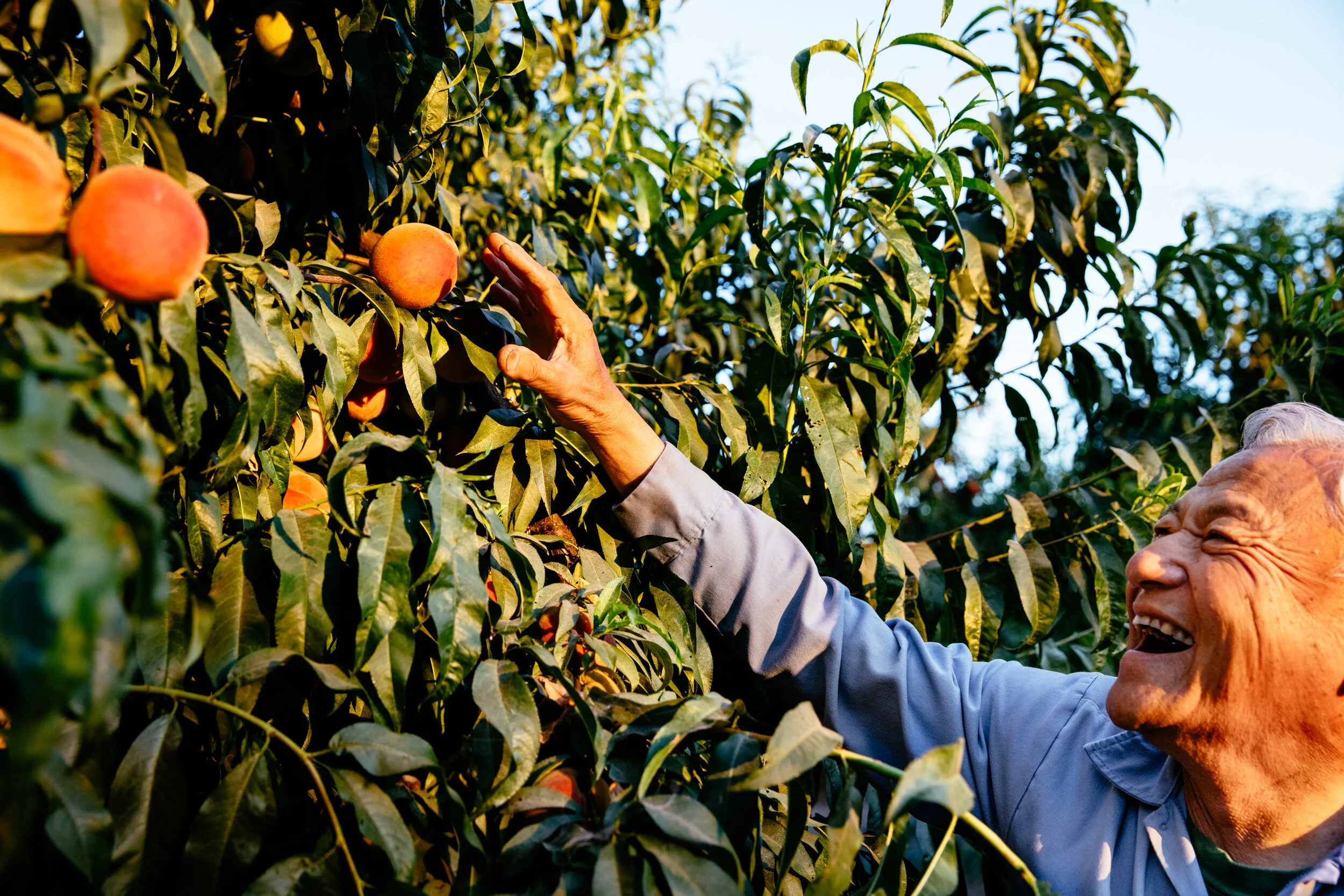 099A1557 (edb067664b2be121be0c97e67cd16dd43f3a60a1).jpg