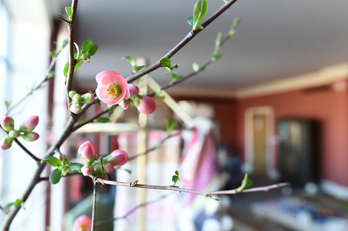 NORDSTROM-X-ANTHRO-QUINCE-CLOSEUP.jpg