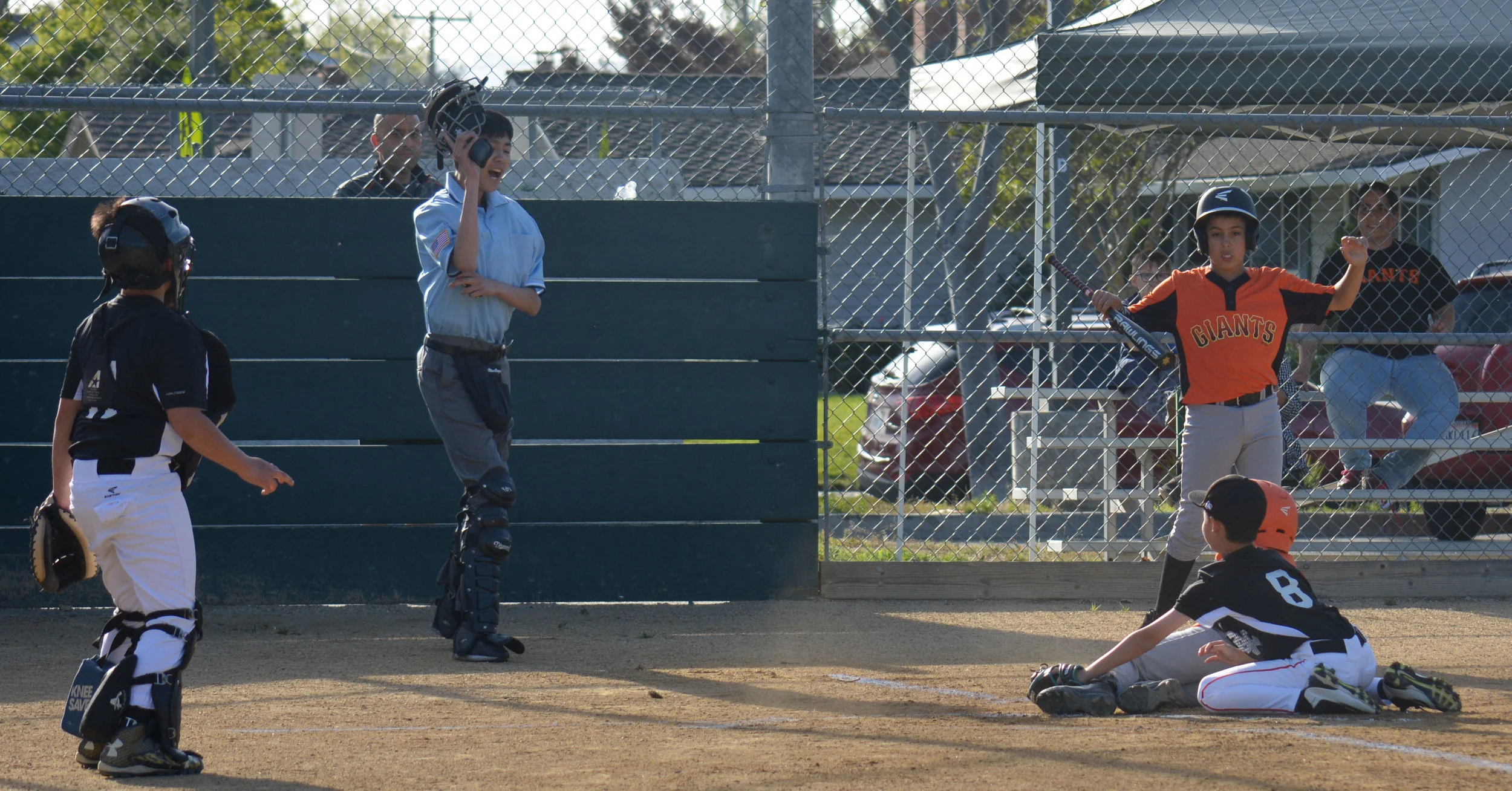 DSC_0973.jpg