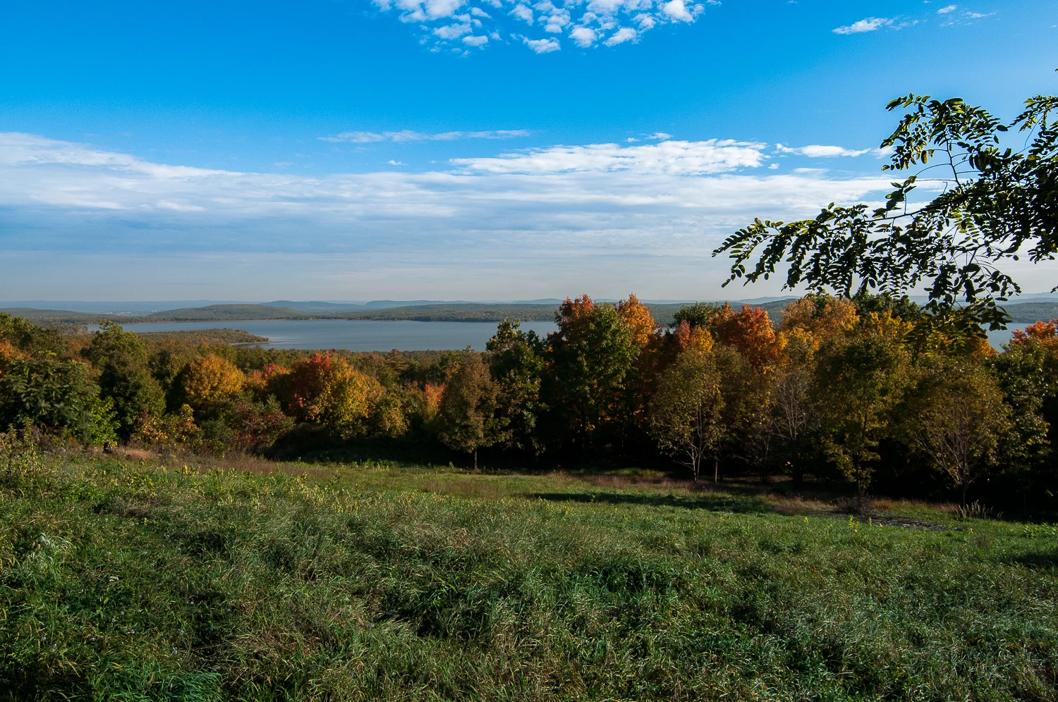 DSC_6289.jpg