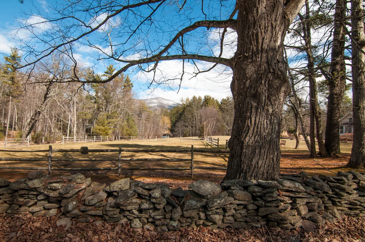 TwinPondFarm-Woodstock-8653.jpg