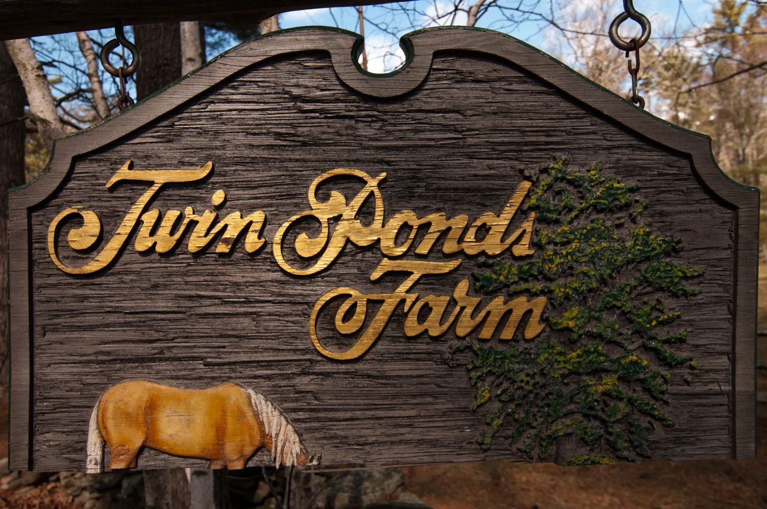 TwinPondFarm-Woodstock-8656.jpg