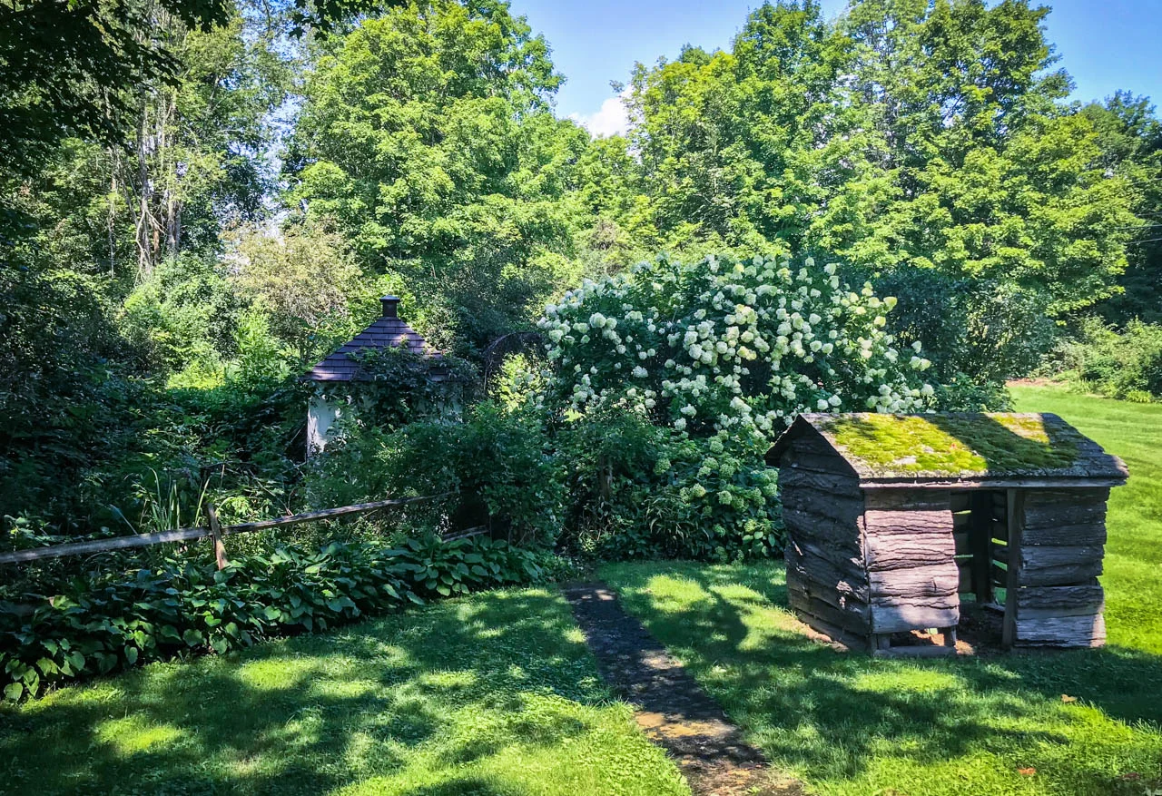 IMG_6102.jpg