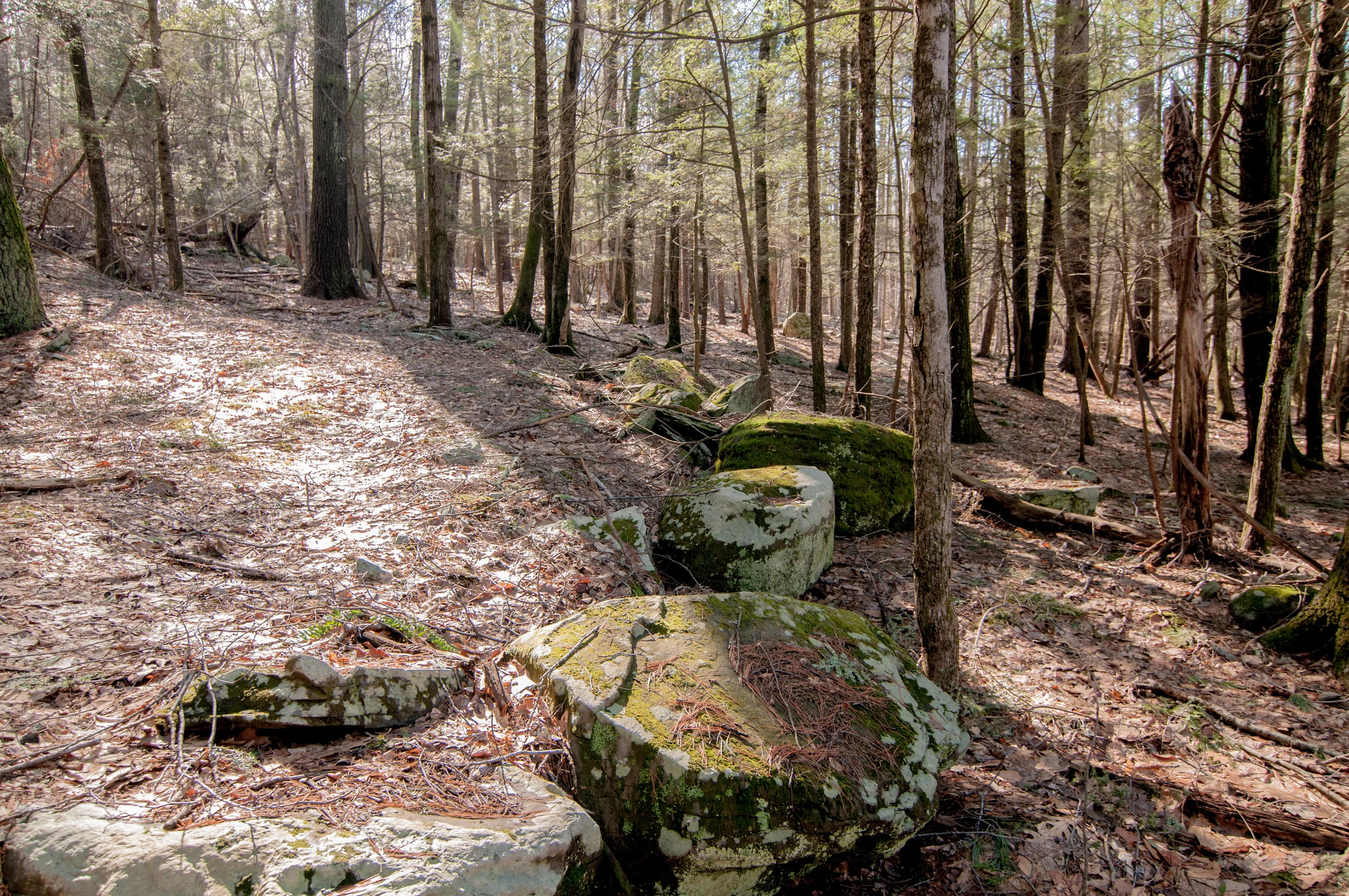 DSC_1469.jpg