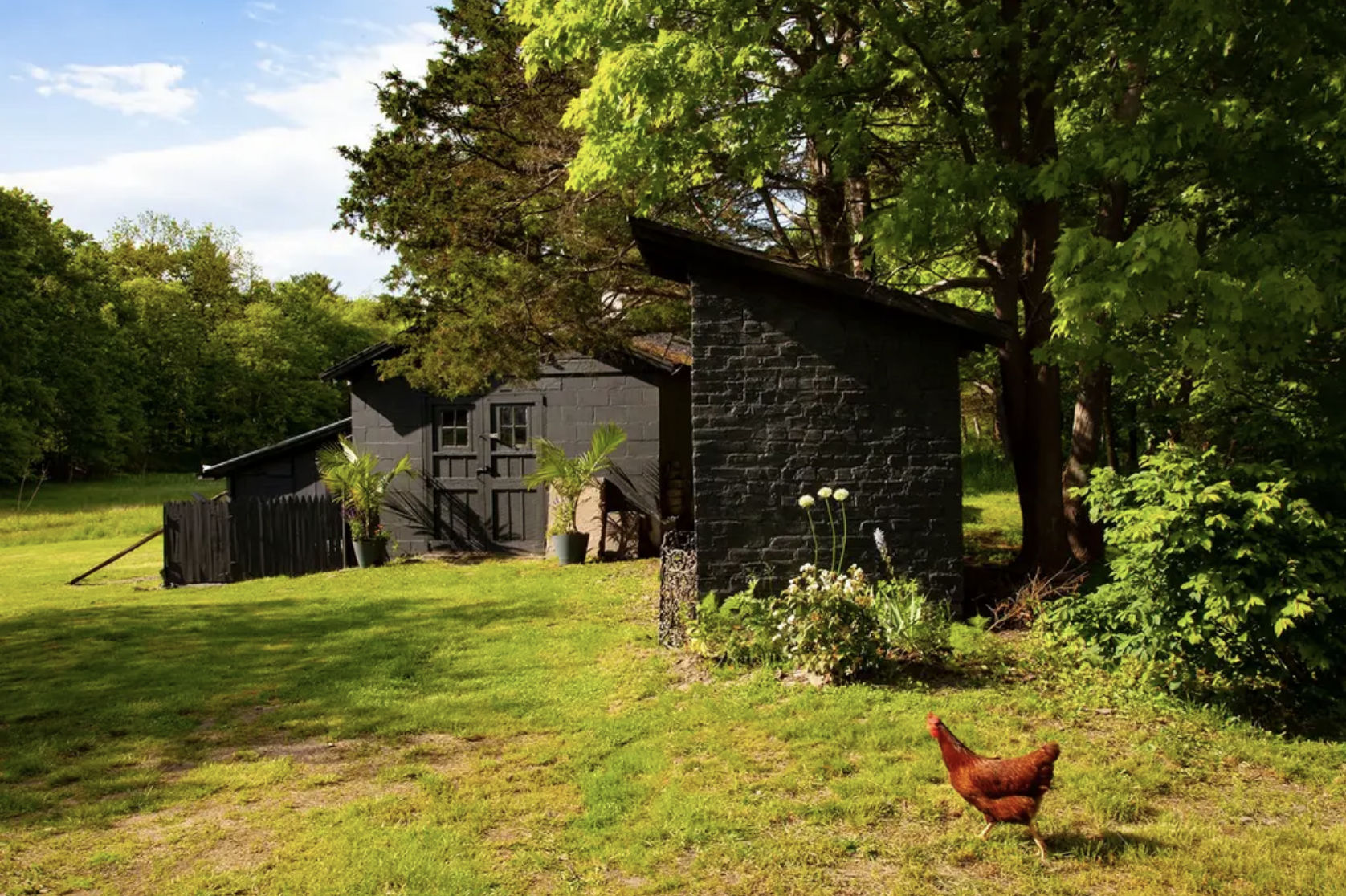 Glasco-ChickenCoop-Saugerties-NY.png