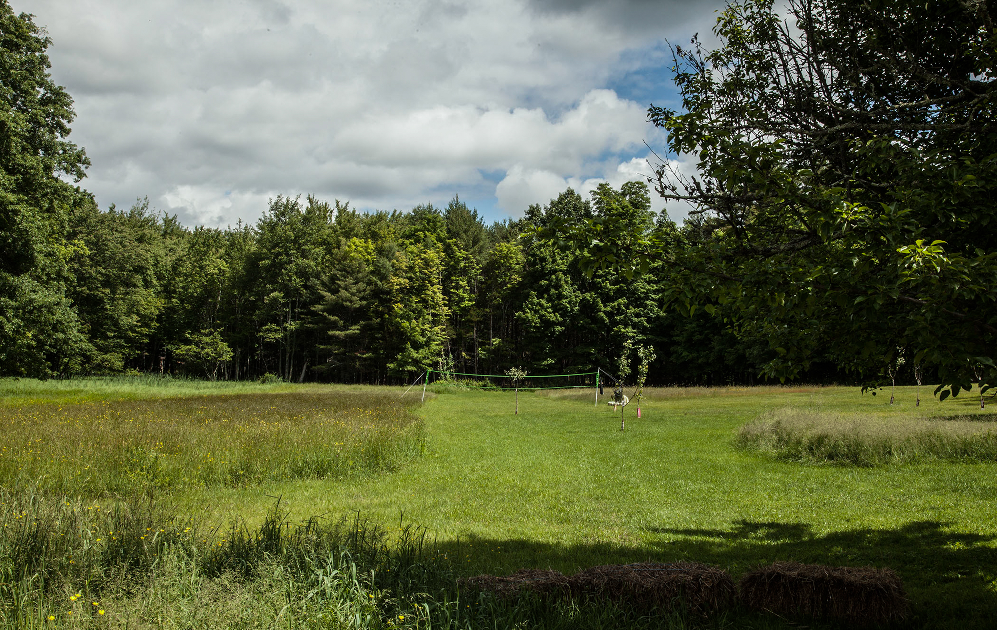 GlascoTurnpike-Saugerties-NY-field.jpg