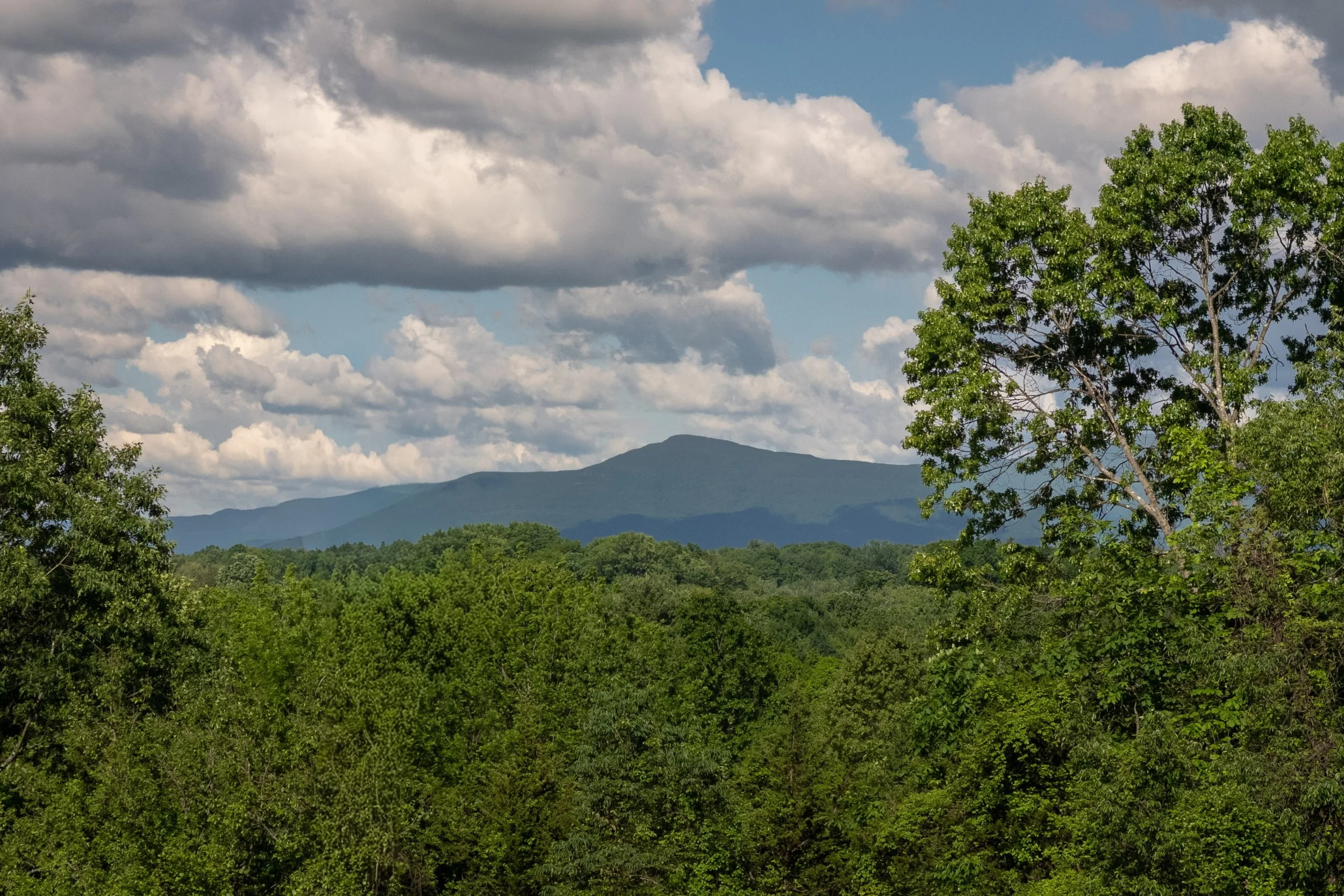 23_14-Meachers-Attean-Ln_Germantown-22.jpg